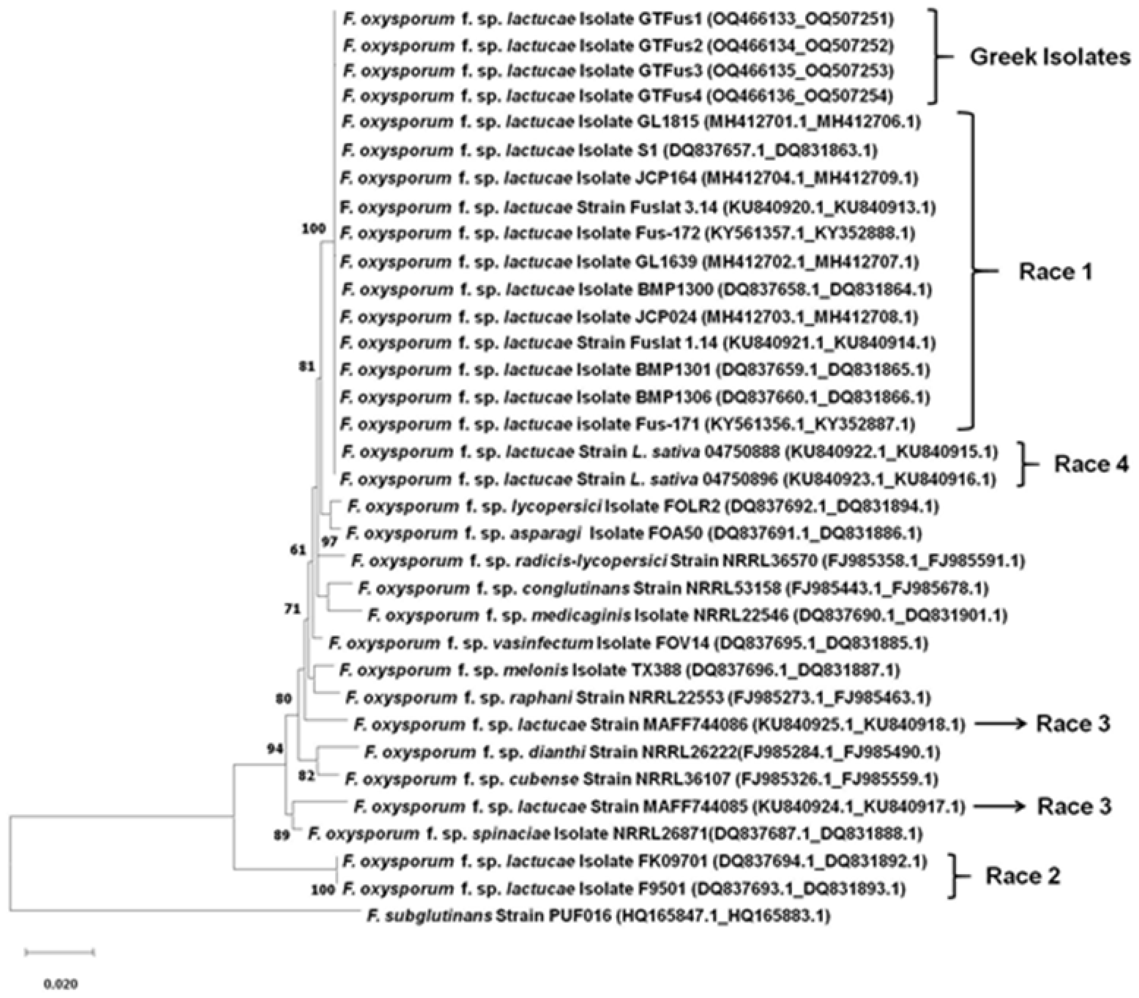 Microorganisms 11 01082 g001 Microorganisms 11 01082 g001