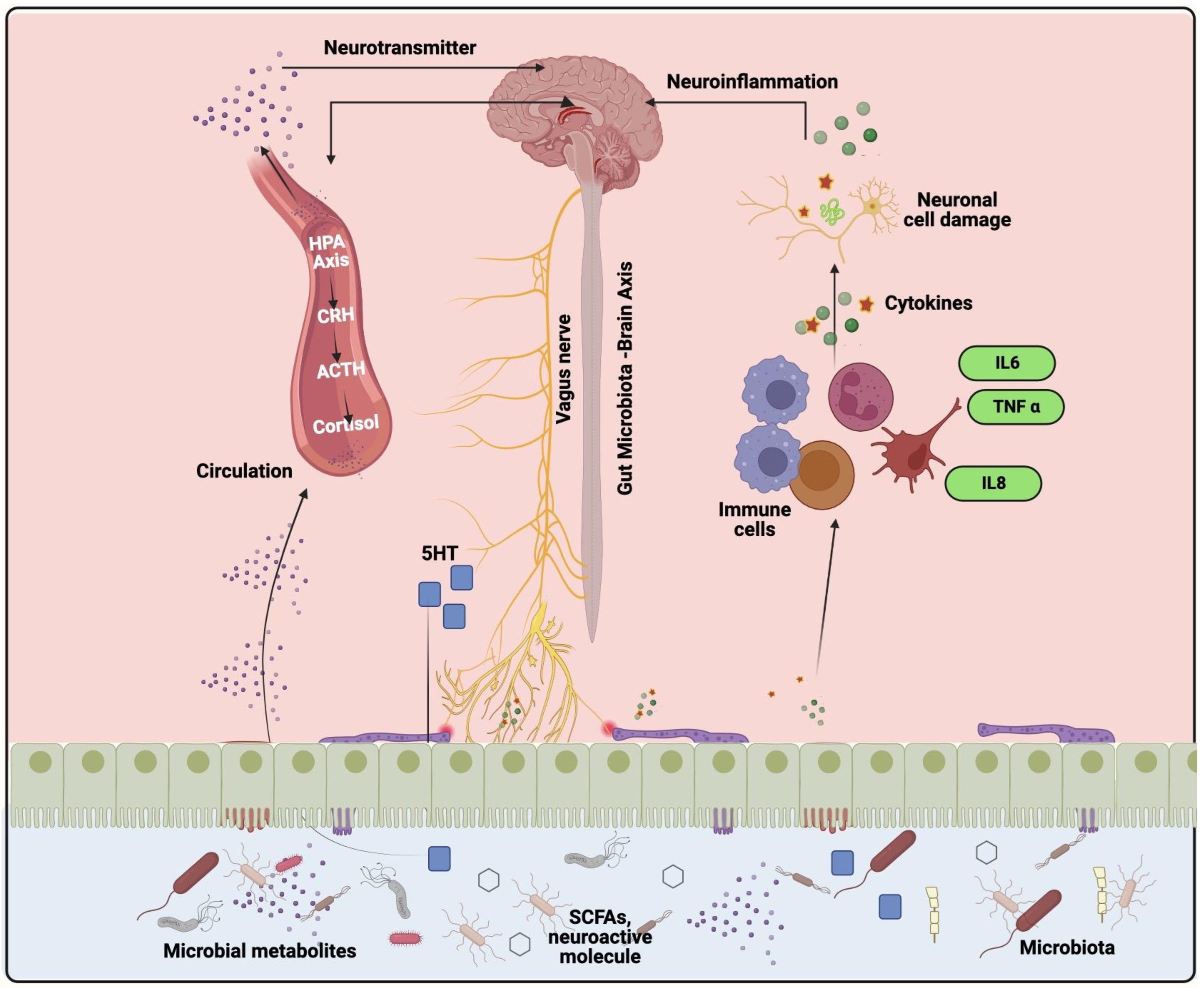 Microorganisms 11 01083 g002 Microorganisms 11 01083 g002