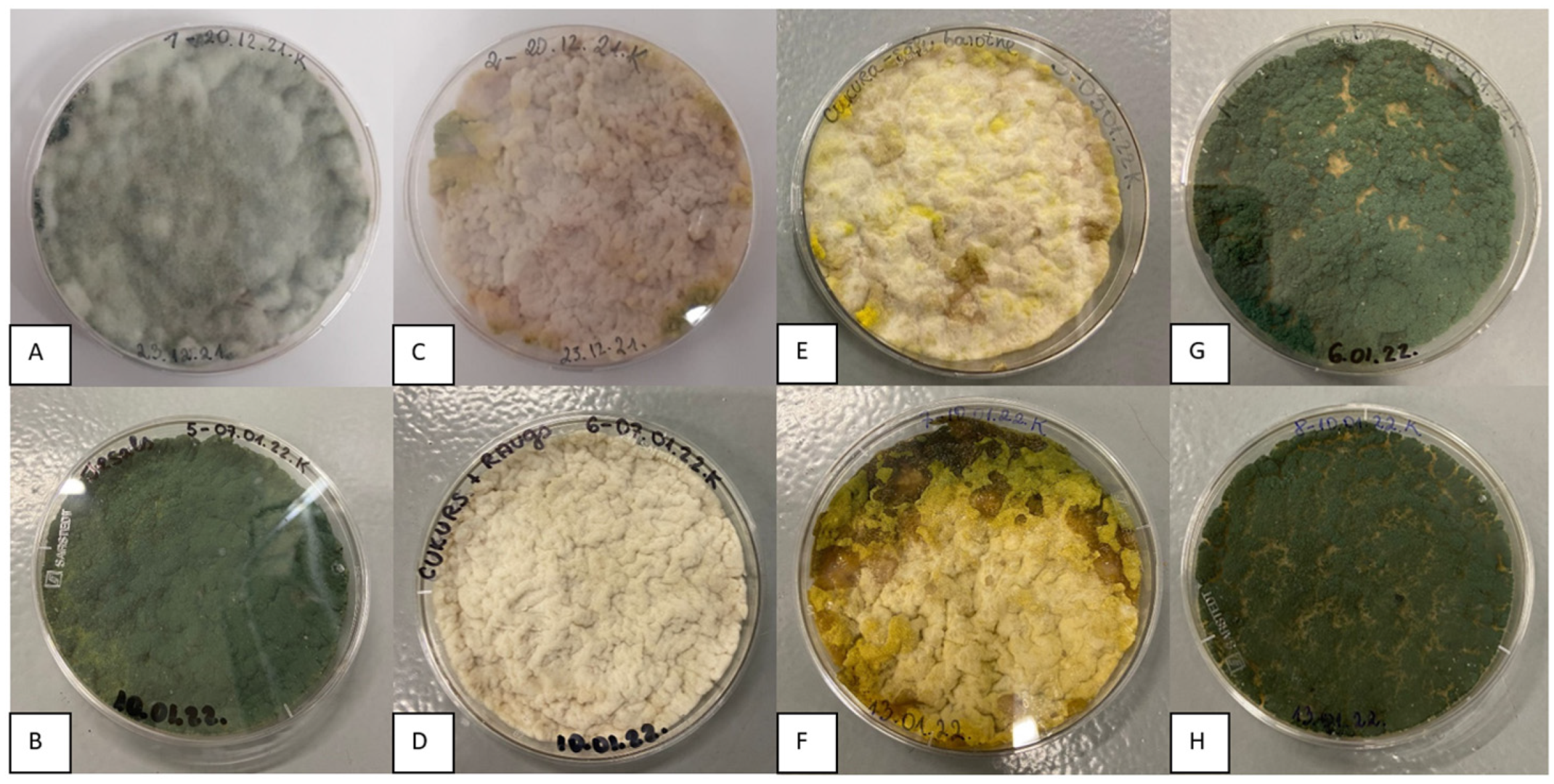 Microorganisms 11 01084 g004 Microorganisms 11 01084 g004