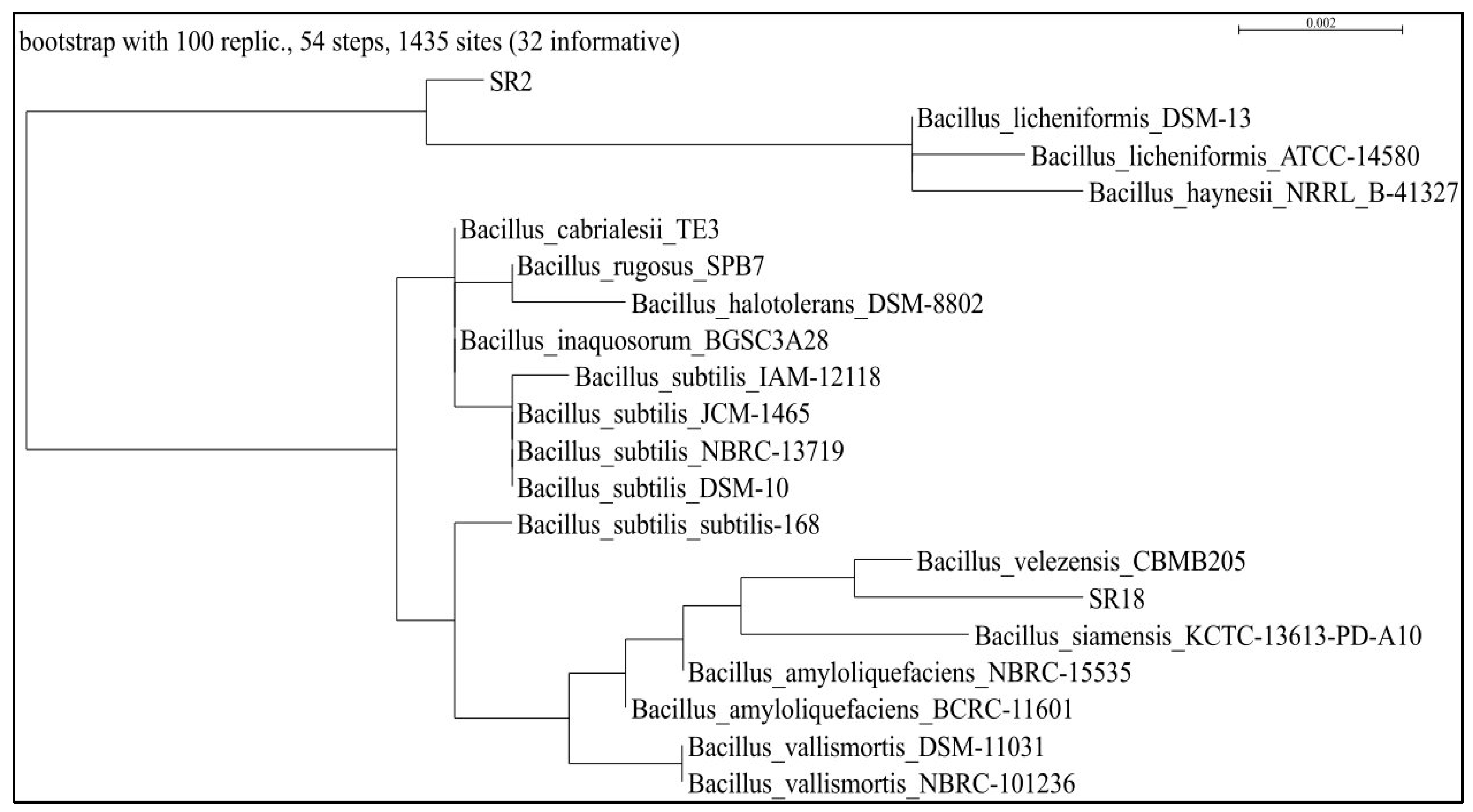 Microorganisms 11 01085 g001 Microorganisms 11 01085 g001