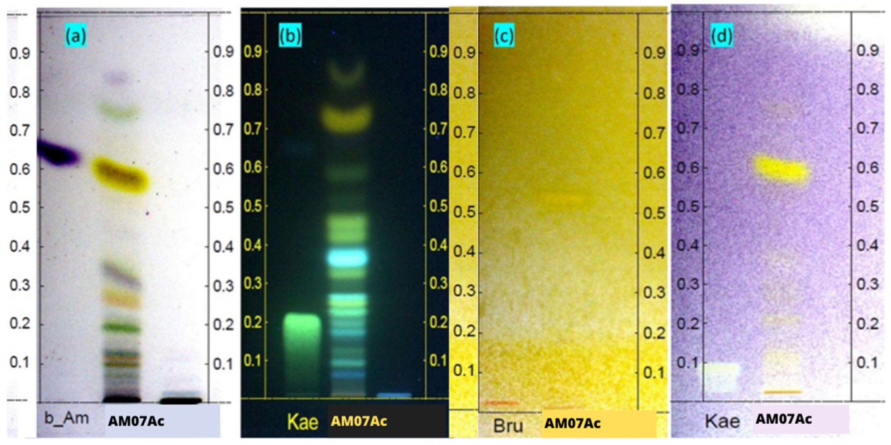 Microorganisms 11 01089 g003