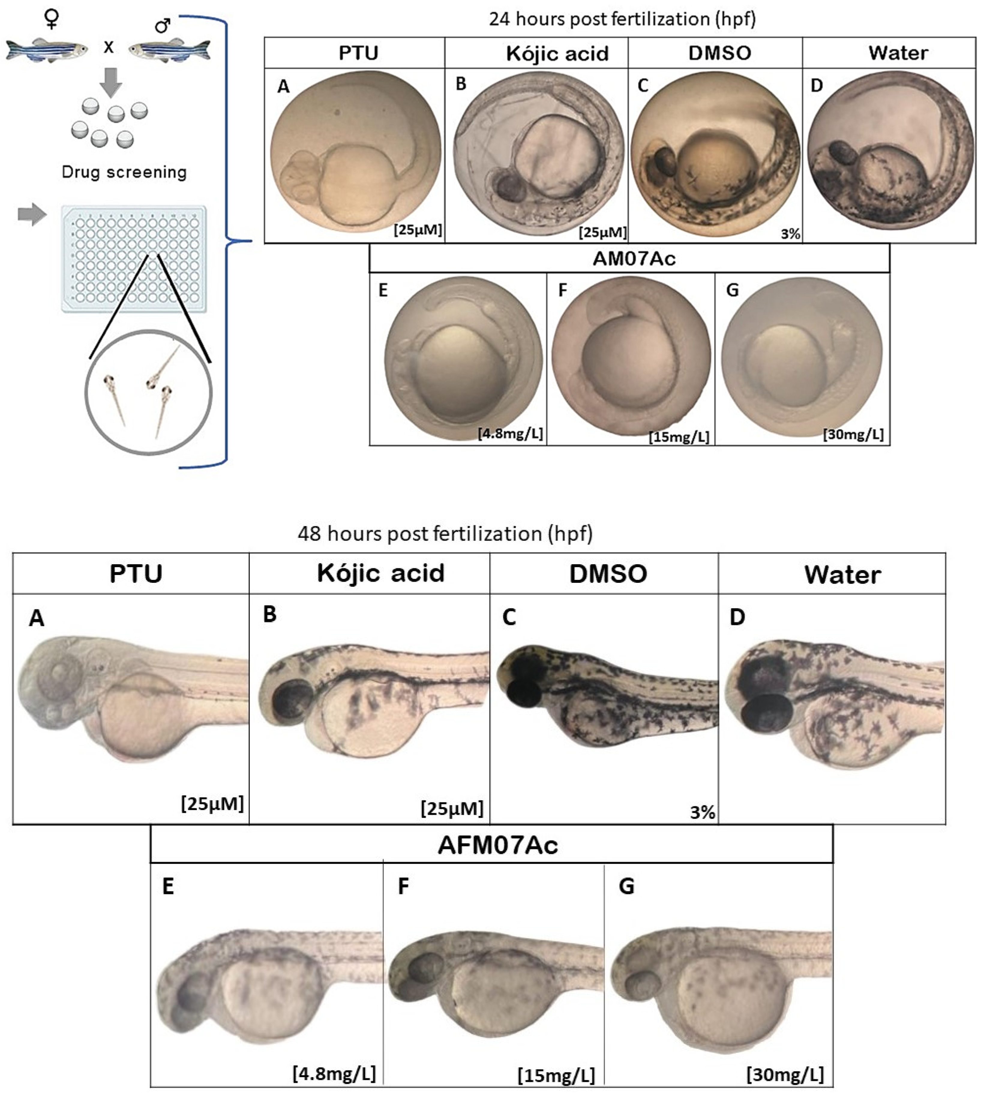 Microorganisms 11 01089 g006