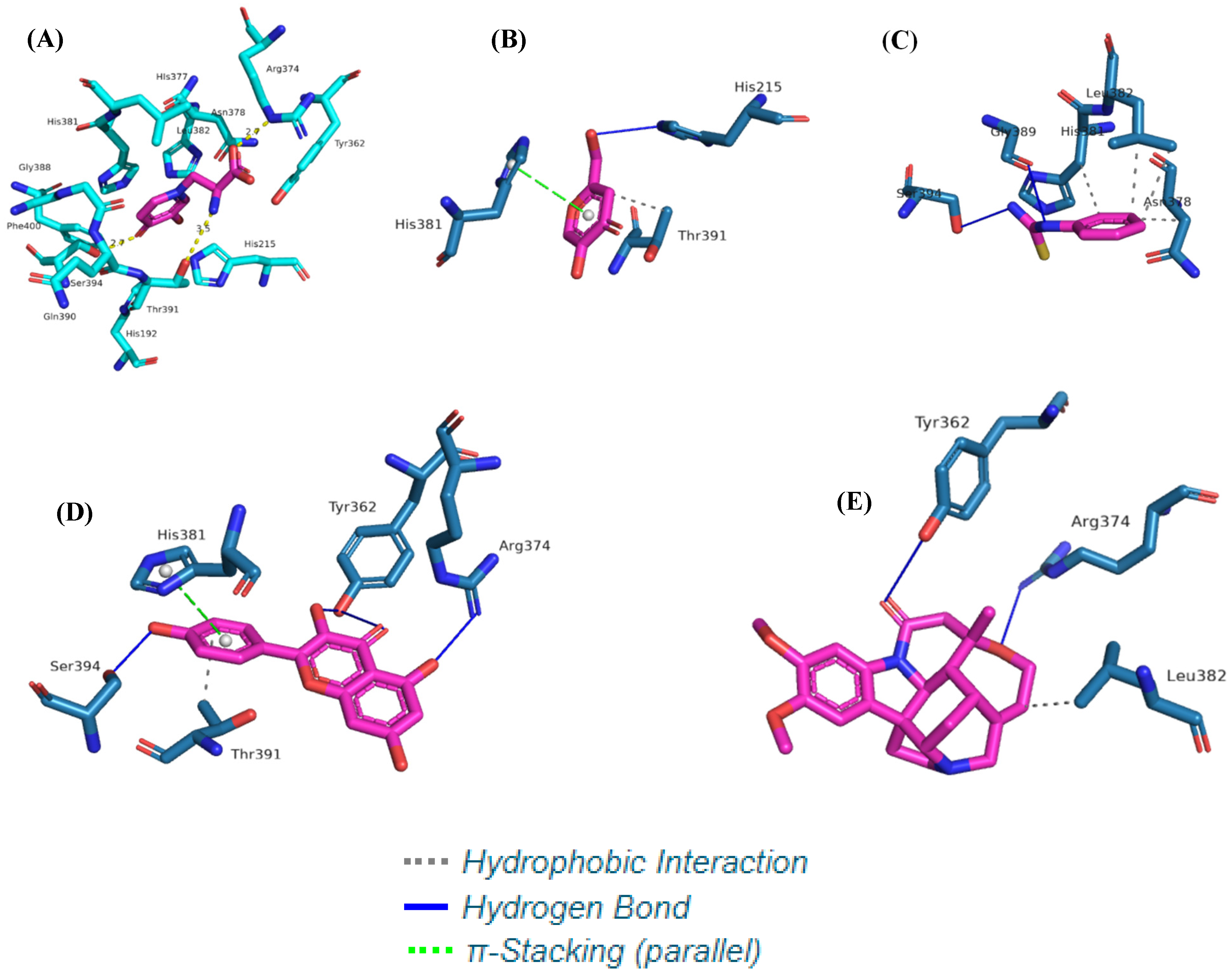 Microorganisms 11 01089 g009