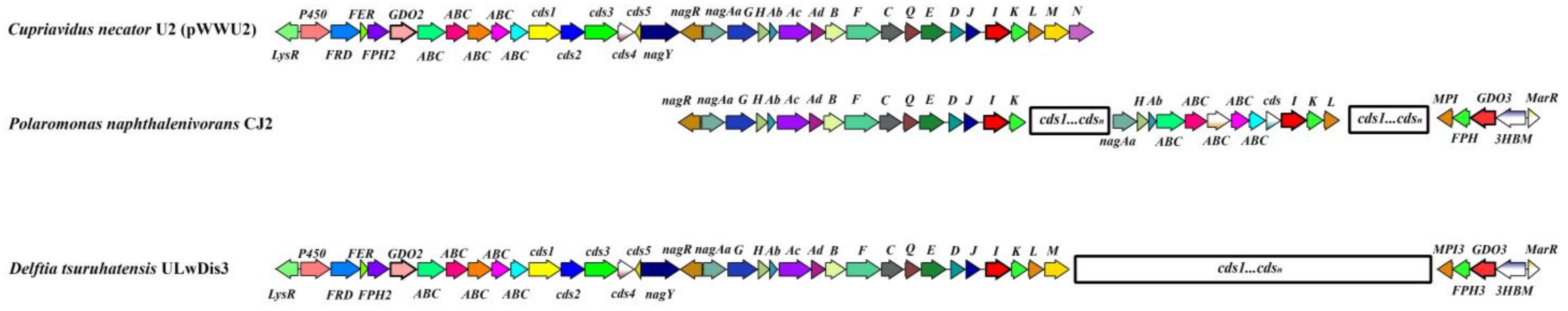 Microorganisms 11 01092 g002 Microorganisms 11 01092 g002