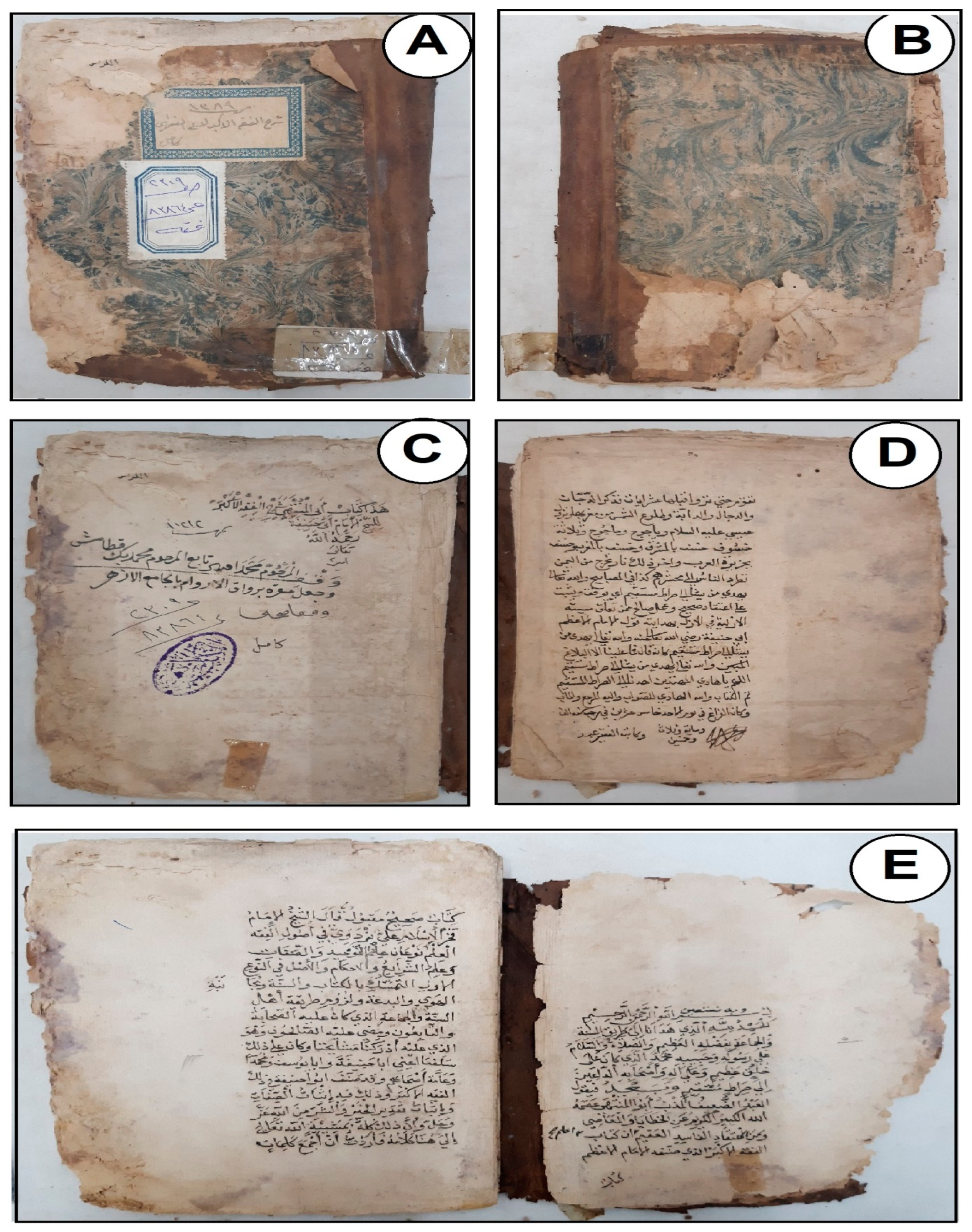 Microorganisms 11 01104 g001 Microorganisms 11 01104 g001