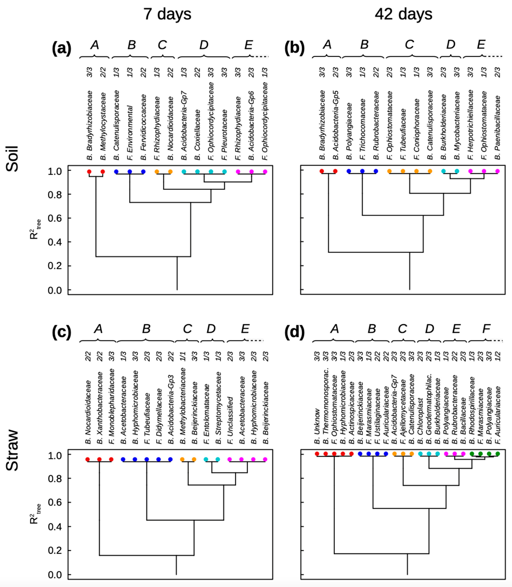 Microorganisms 11 01106 g001 Microorganisms 11 01106 g001