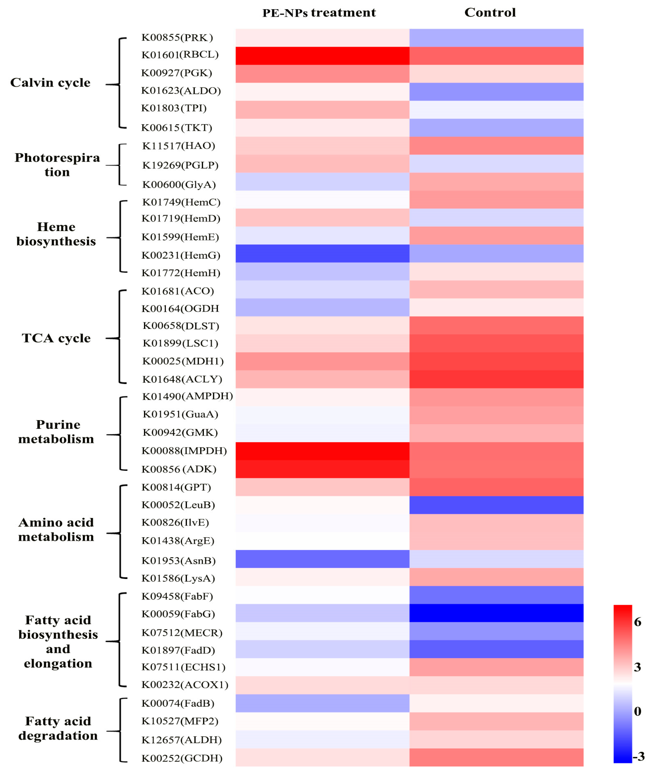 Microorganisms 11 01108 g003