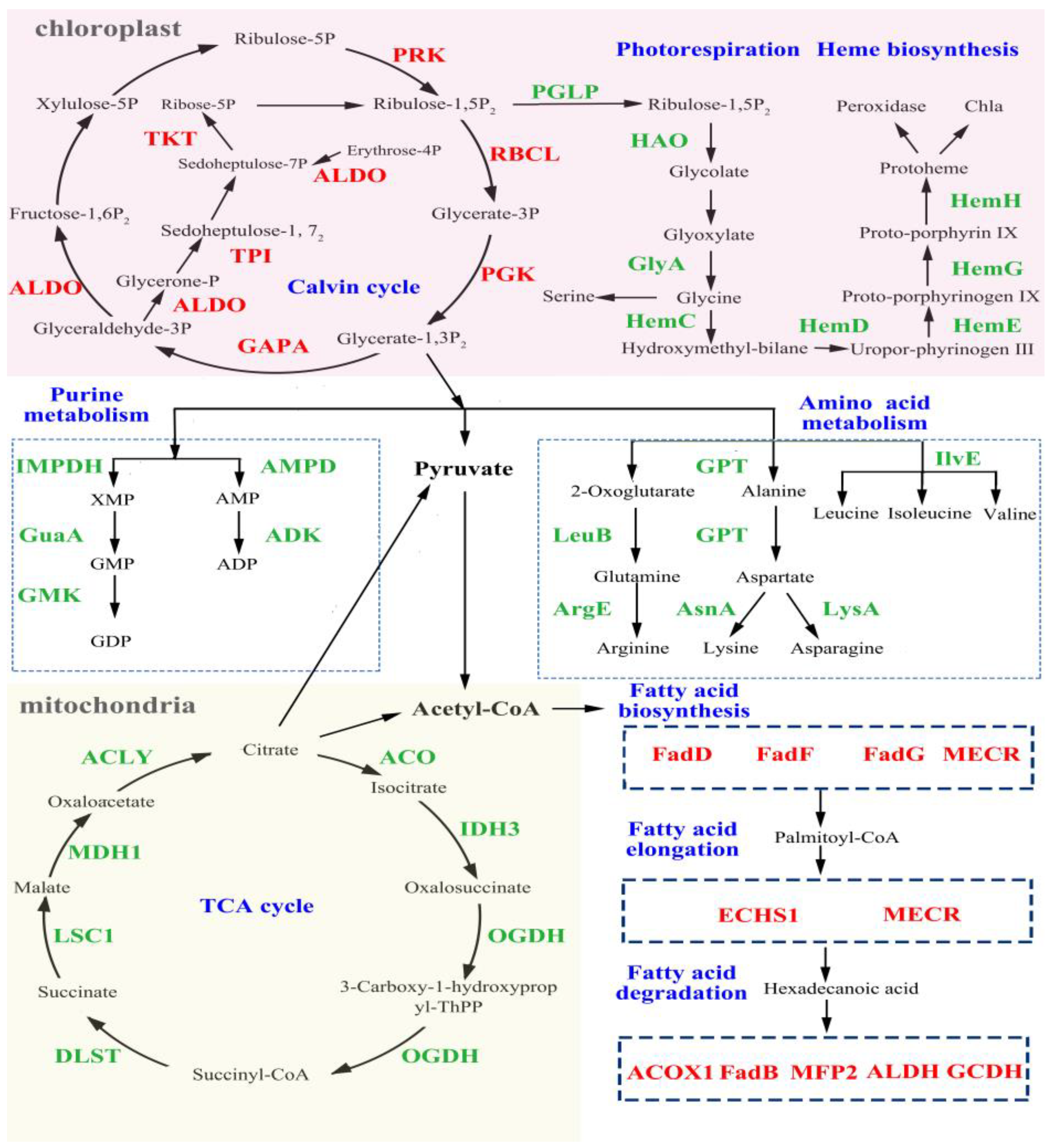 Microorganisms 11 01108 g004