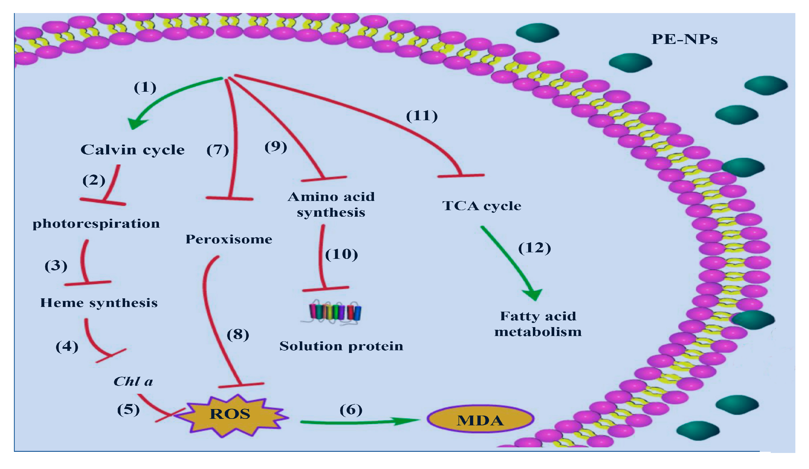 Microorganisms 11 01108 g008