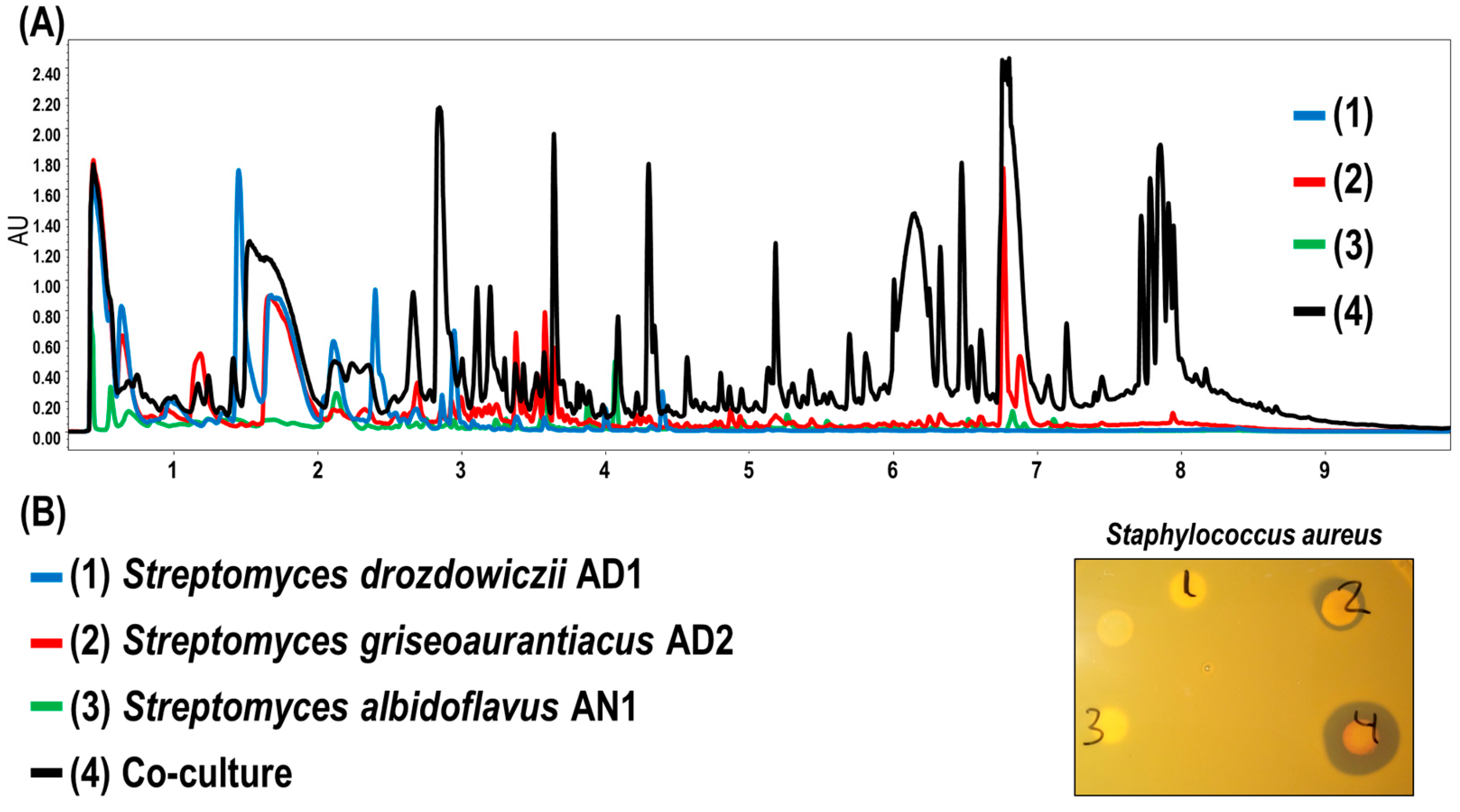 Microorganisms 11 01109 g003