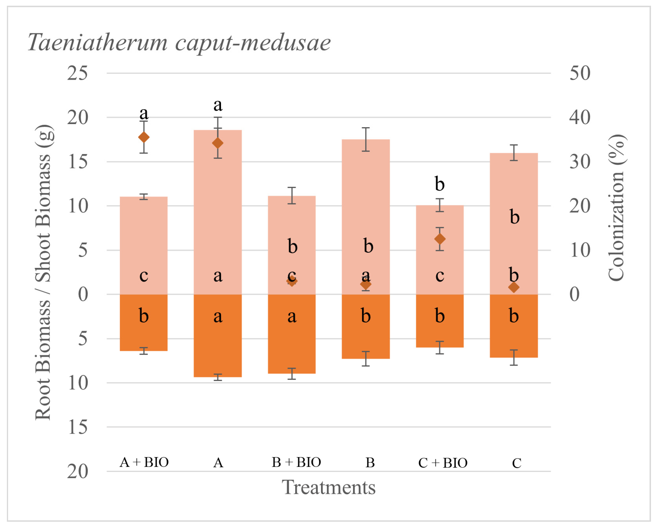 Microorganisms 11 01113 g002
