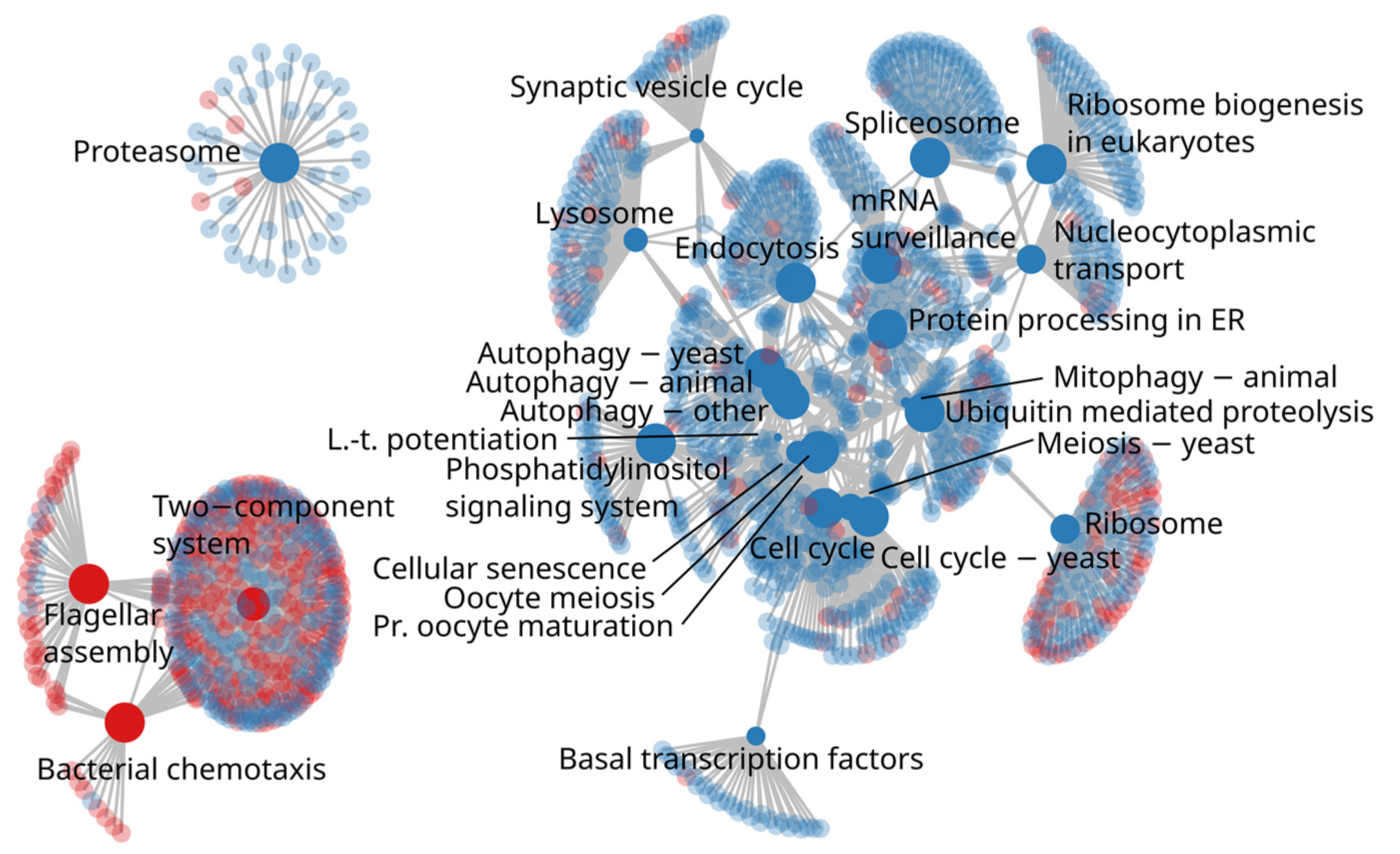 Microorganisms 11 01116 g007