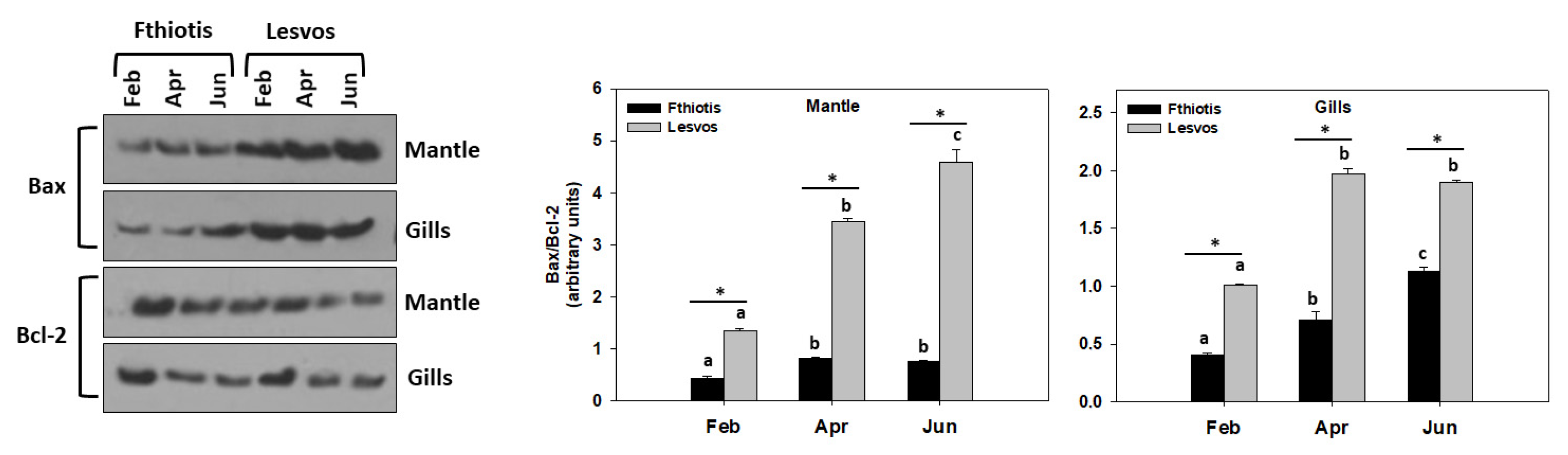 Microorganisms 11 01117 g003