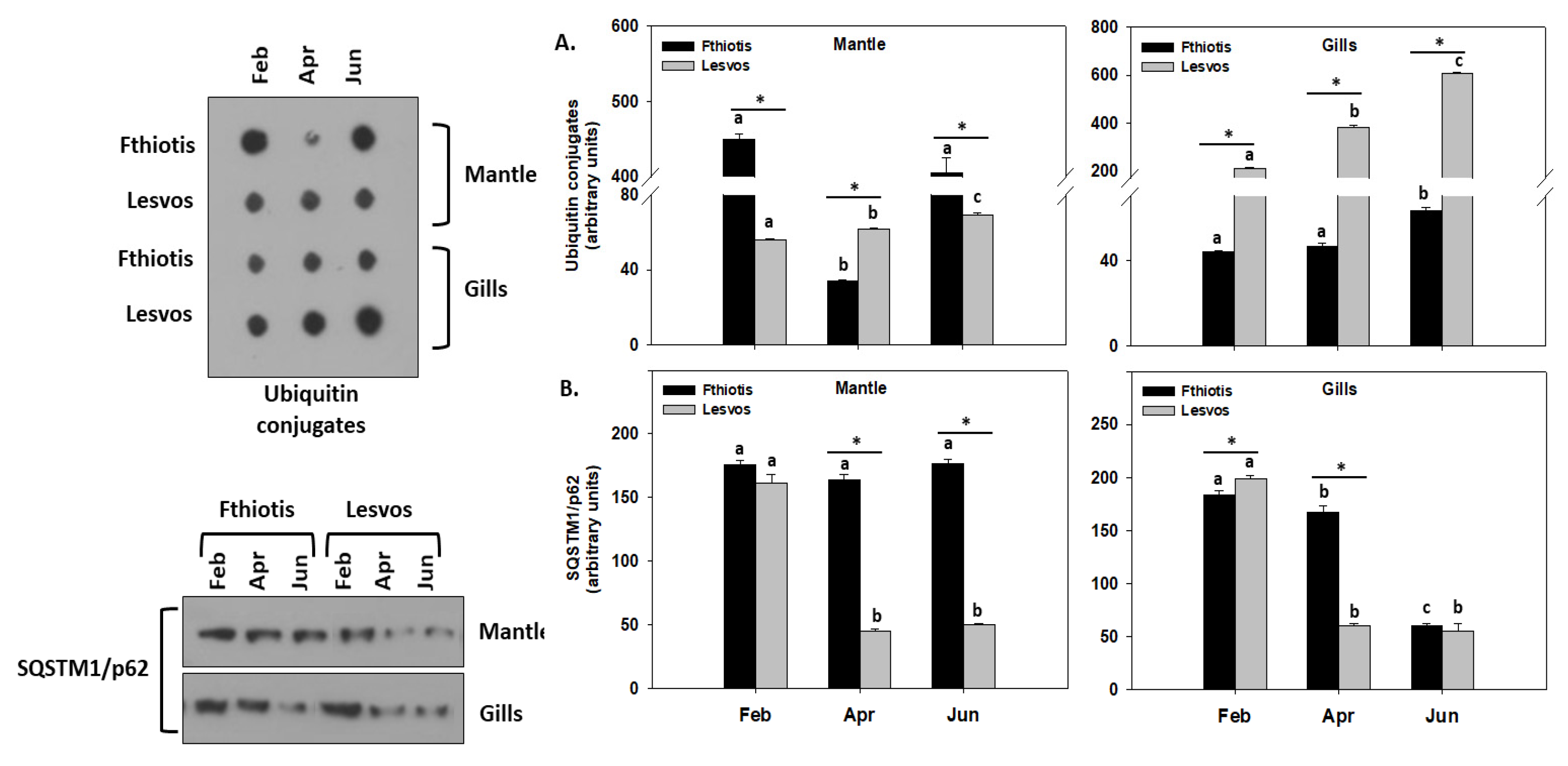 Microorganisms 11 01117 g005