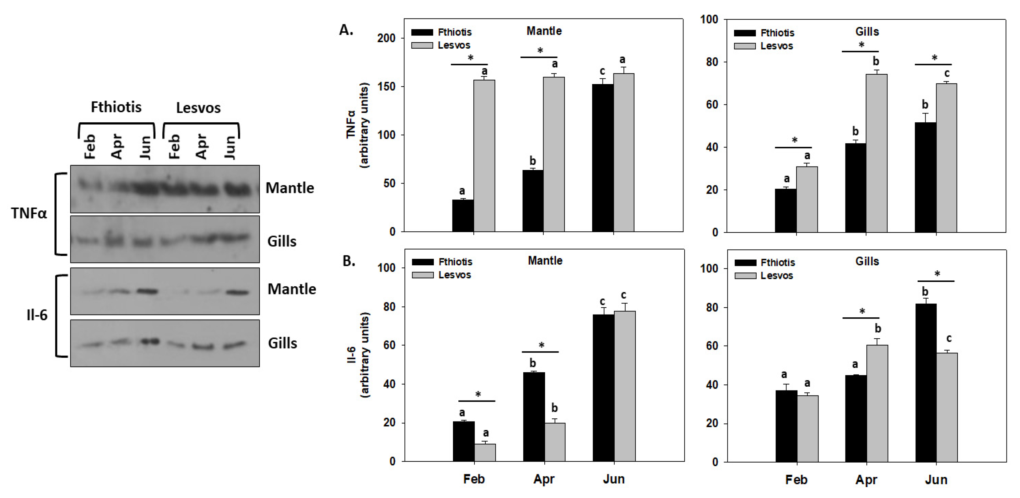 Microorganisms 11 01117 g006