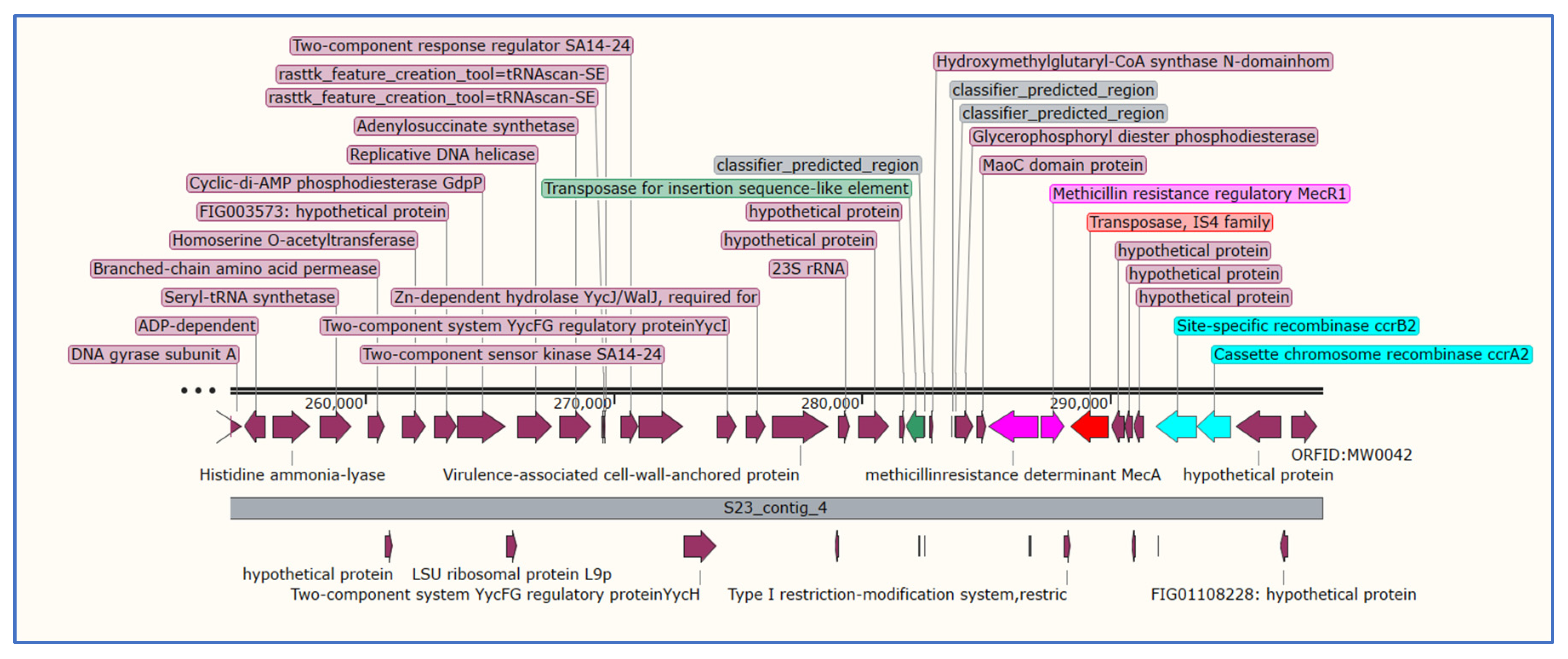 Microorganisms 11 01124 g001 Microorganisms 11 01124 g001