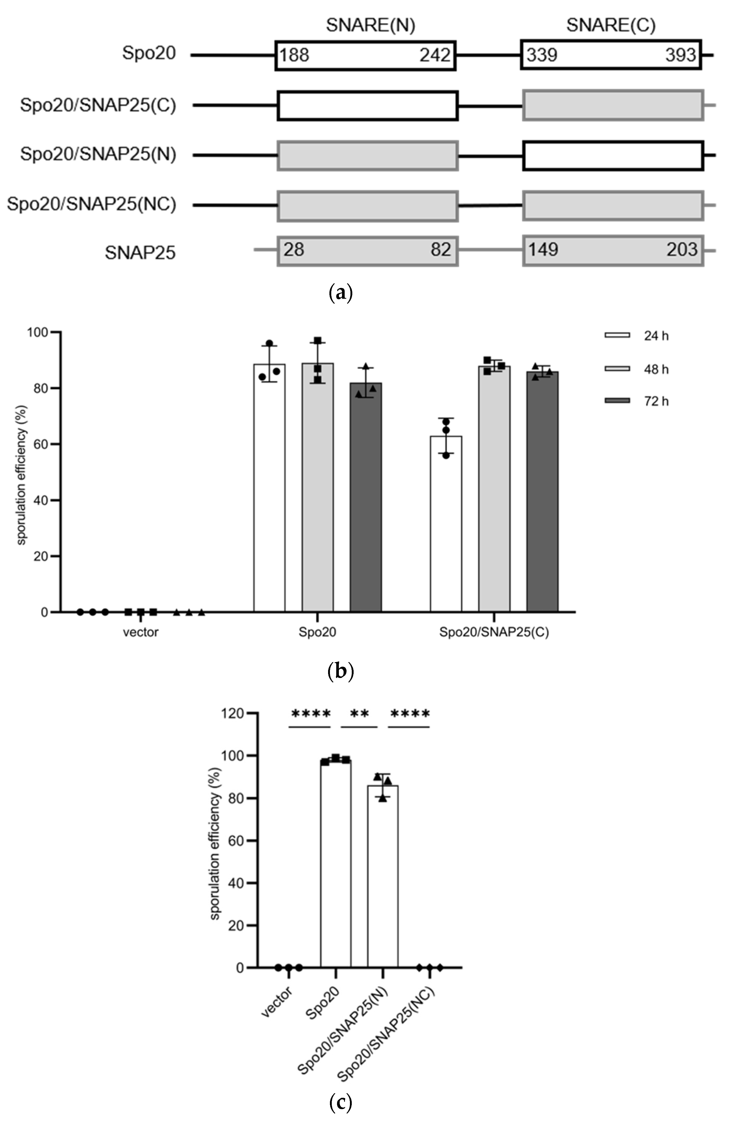 Microorganisms 11 01125 g001 Microorganisms 11 01125 g001
