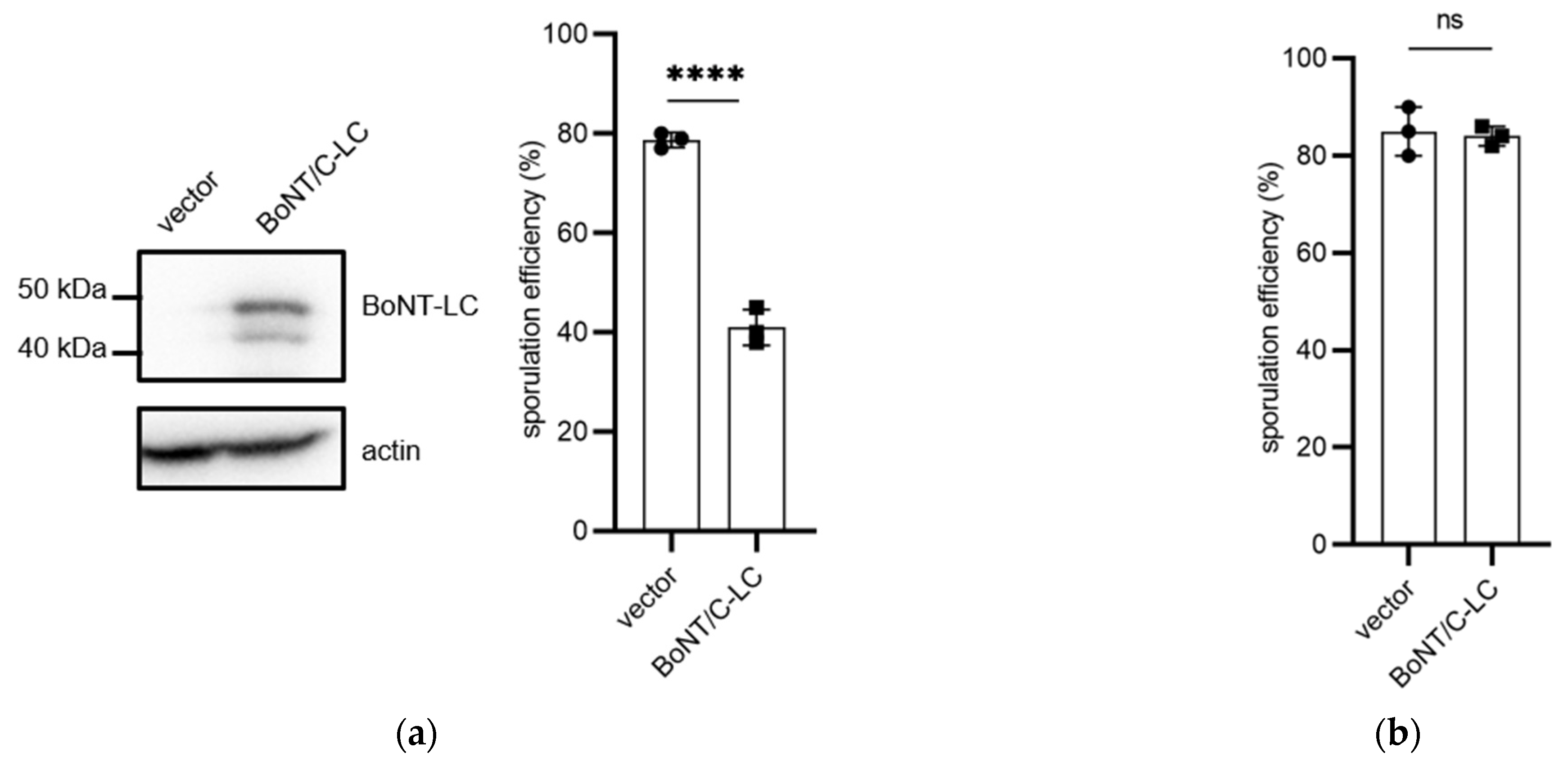 Microorganisms 11 01125 g002a Microorganisms 11 01125 g002a
