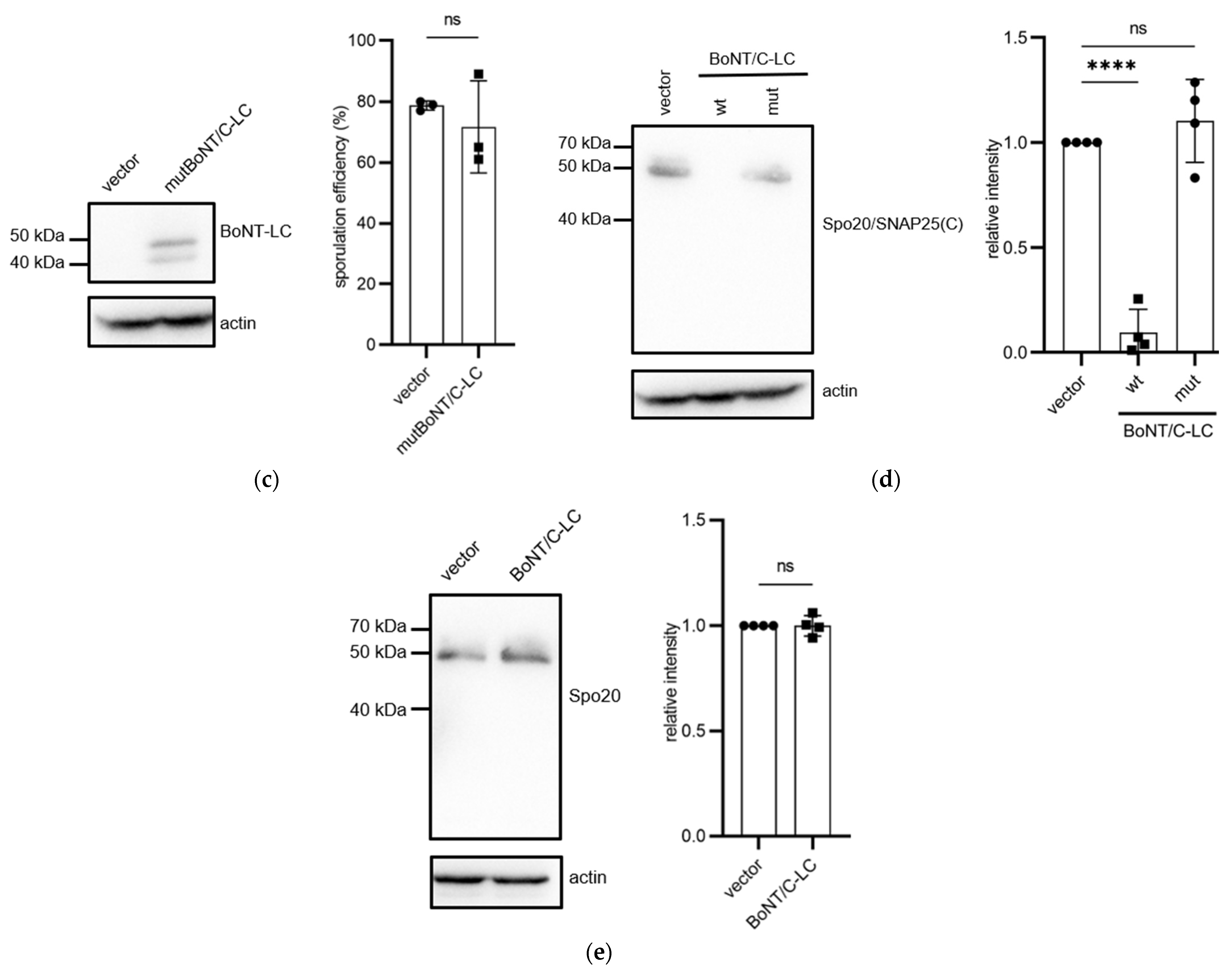 Microorganisms 11 01125 g002b Microorganisms 11 01125 g002b