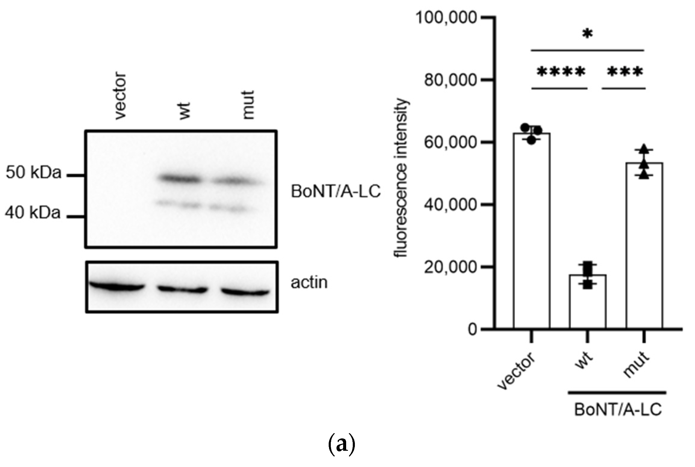 Microorganisms 11 01125 g003a Microorganisms 11 01125 g003a