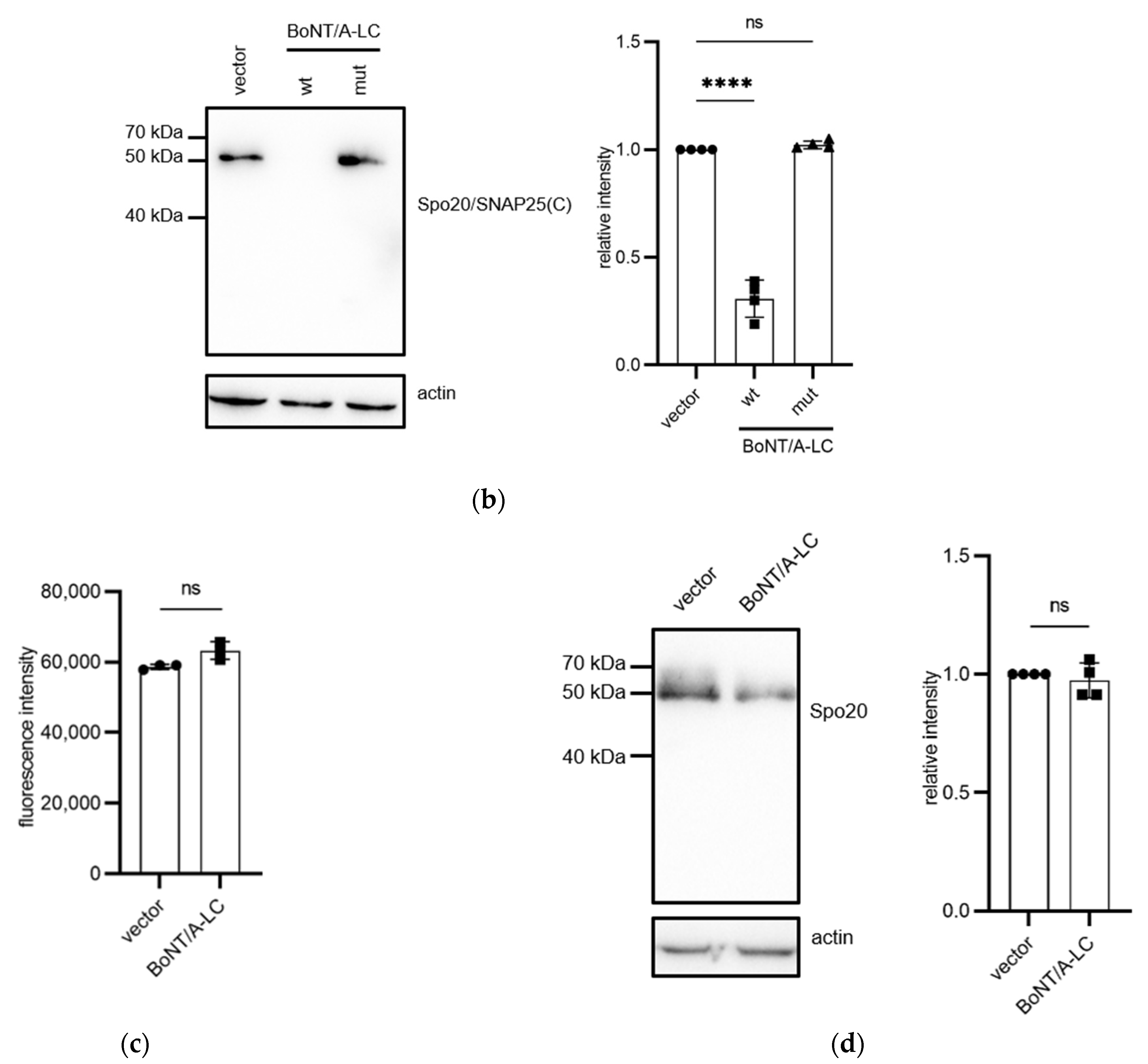 Microorganisms 11 01125 g003b Microorganisms 11 01125 g003b