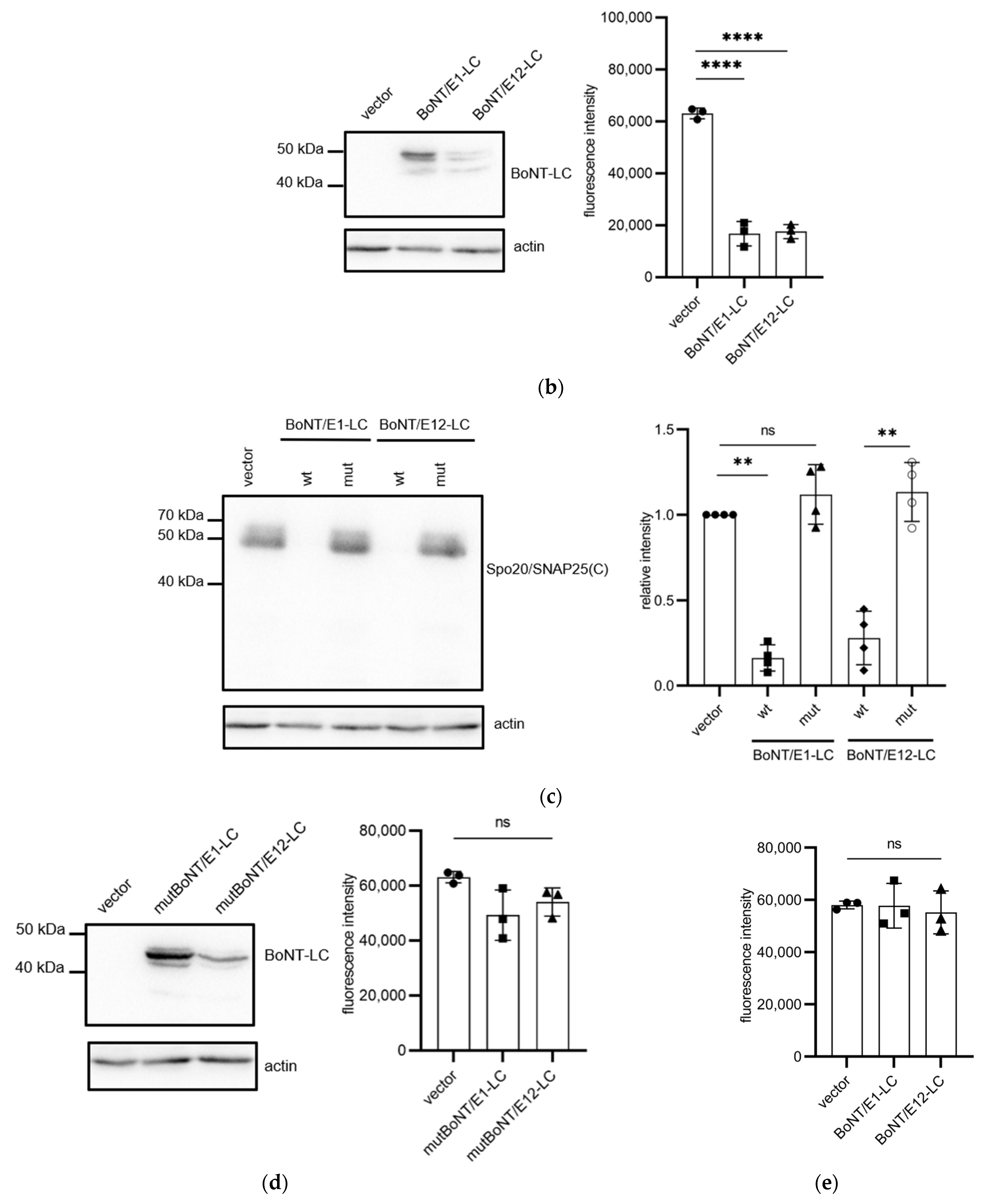 Microorganisms 11 01125 g004b Microorganisms 11 01125 g004b