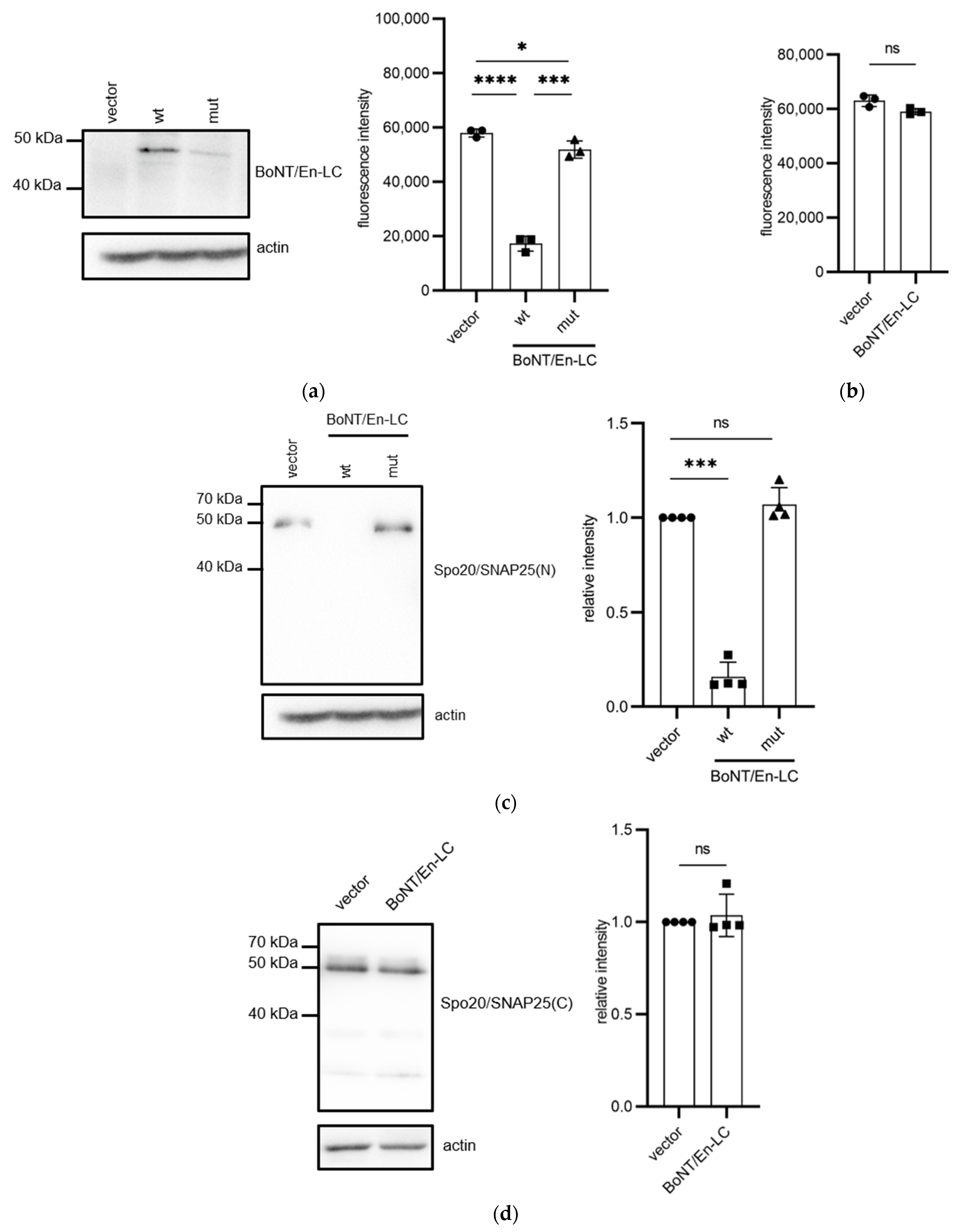 Microorganisms 11 01125 g005 Microorganisms 11 01125 g005