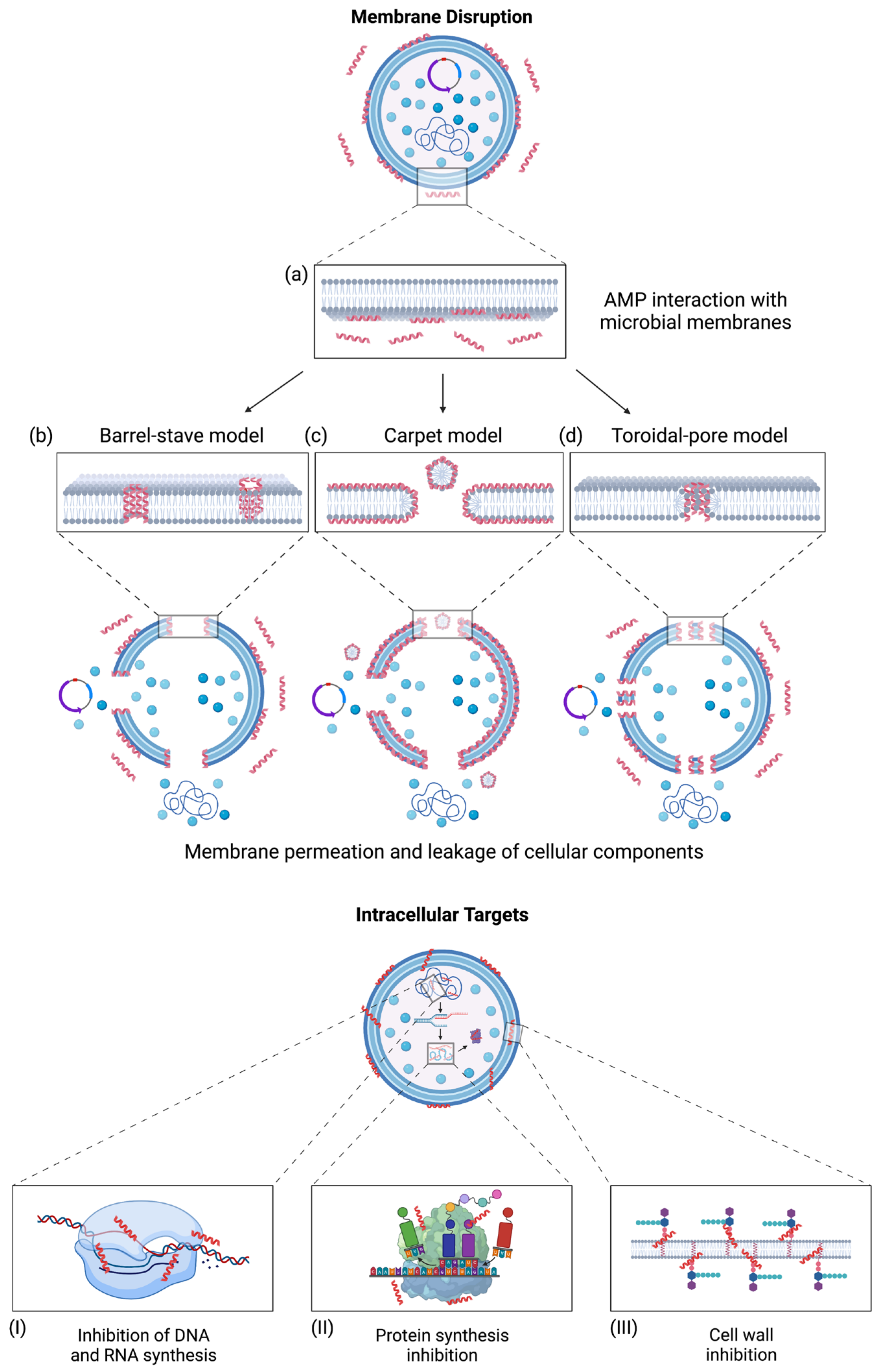Microorganisms 11 01129 g001