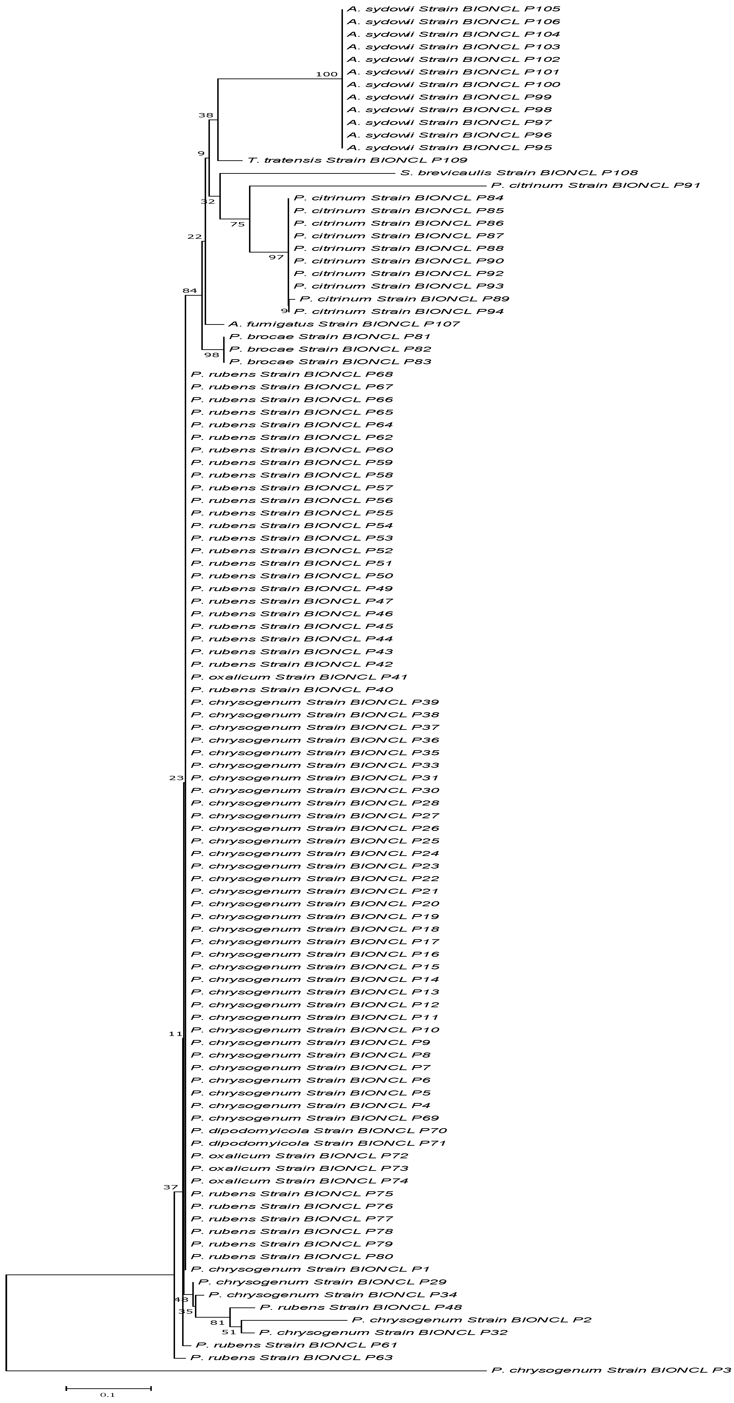 Microorganisms 11 01132 g002