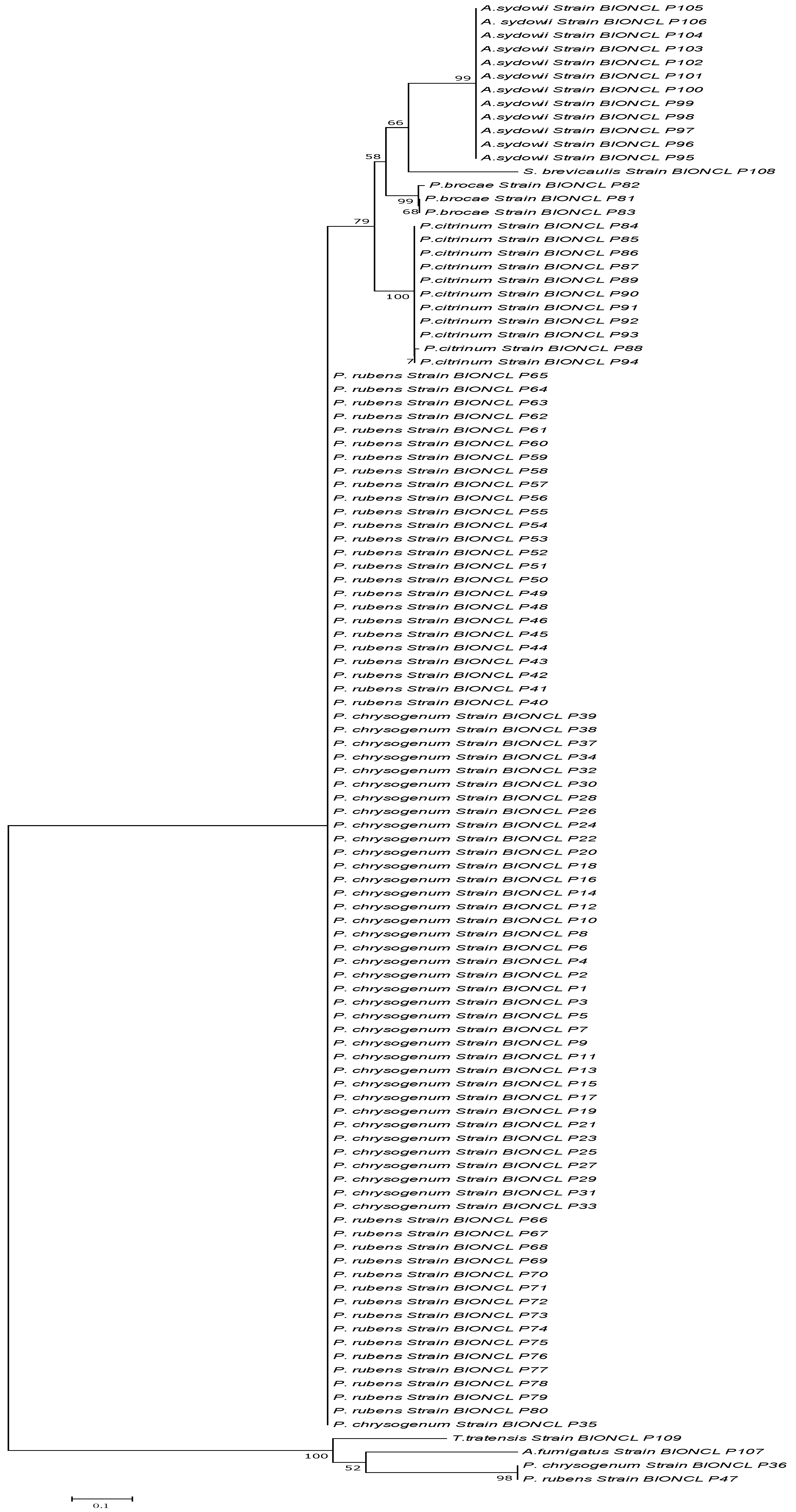 Microorganisms 11 01132 g003