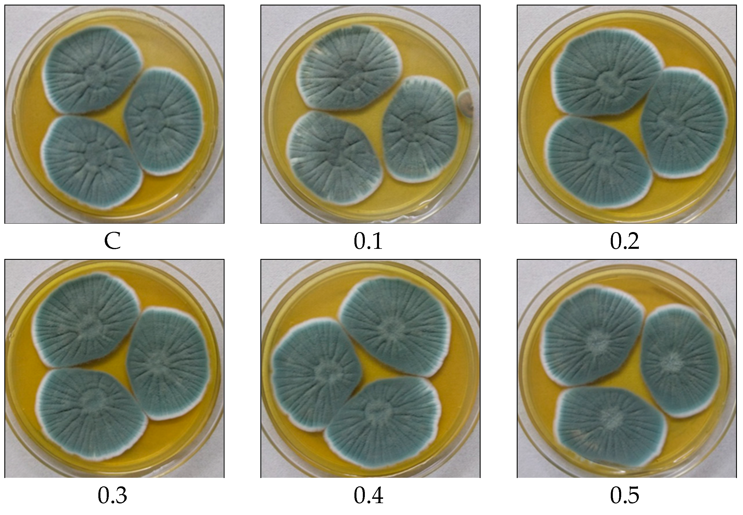 Microorganisms 11 01132 g005a