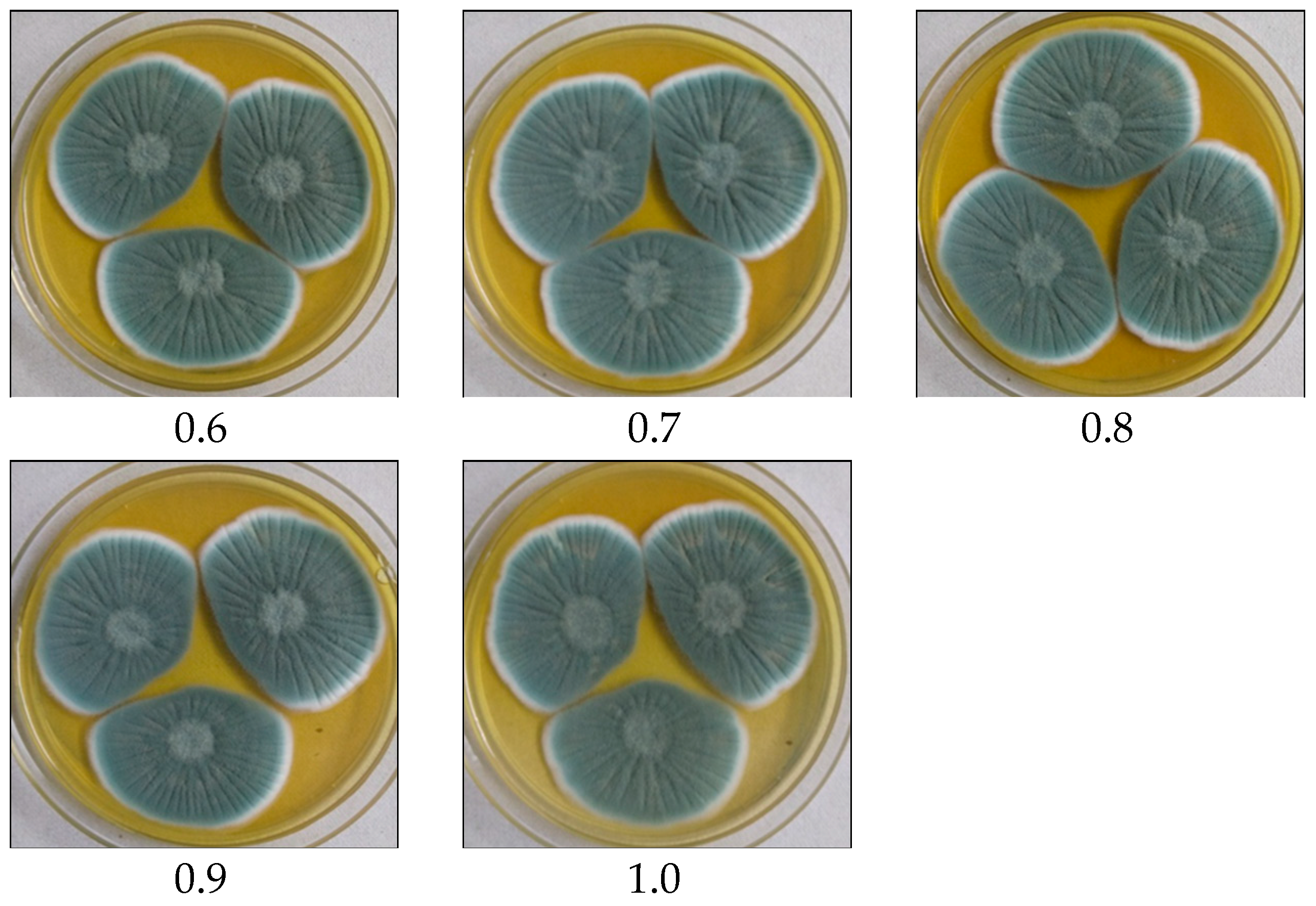Microorganisms 11 01132 g005b