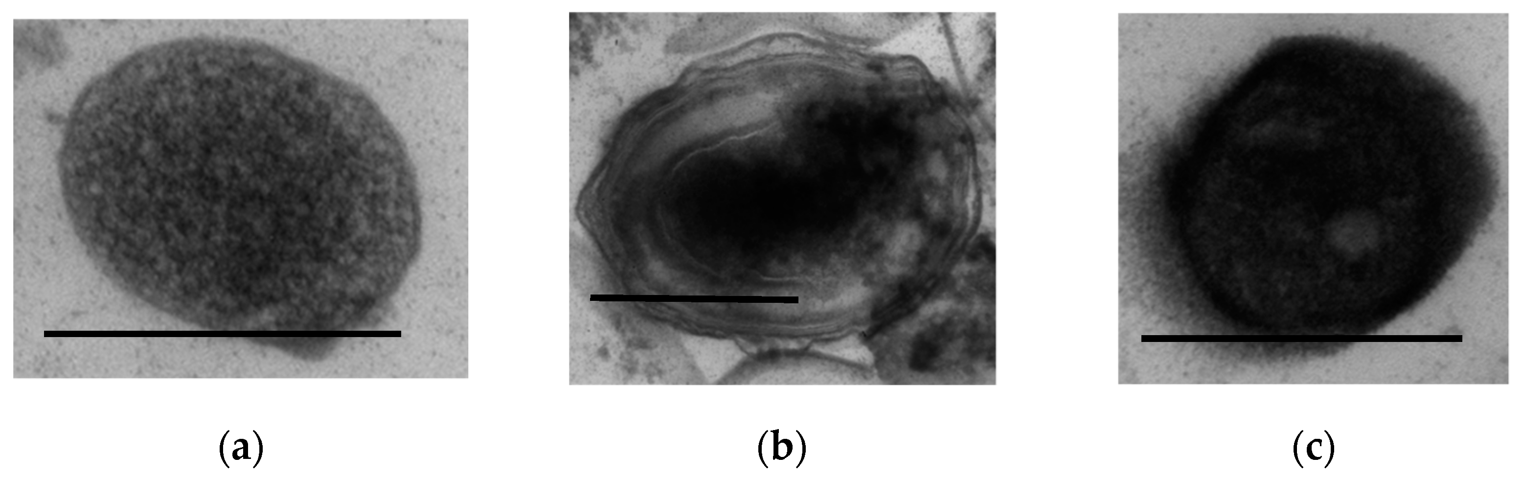 Microorganisms 11 01133 g008 Microorganisms 11 01133 g008