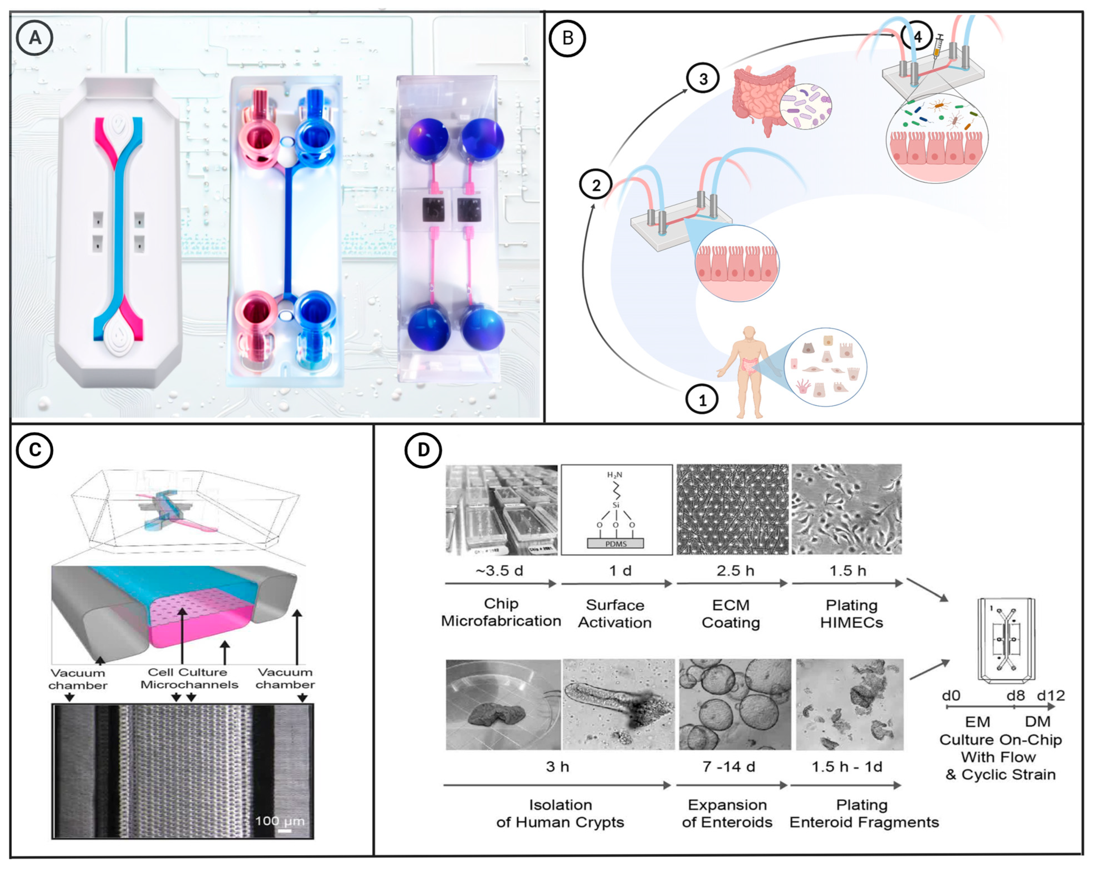 Microorganisms 11 01134 g001 Microorganisms 11 01134 g001