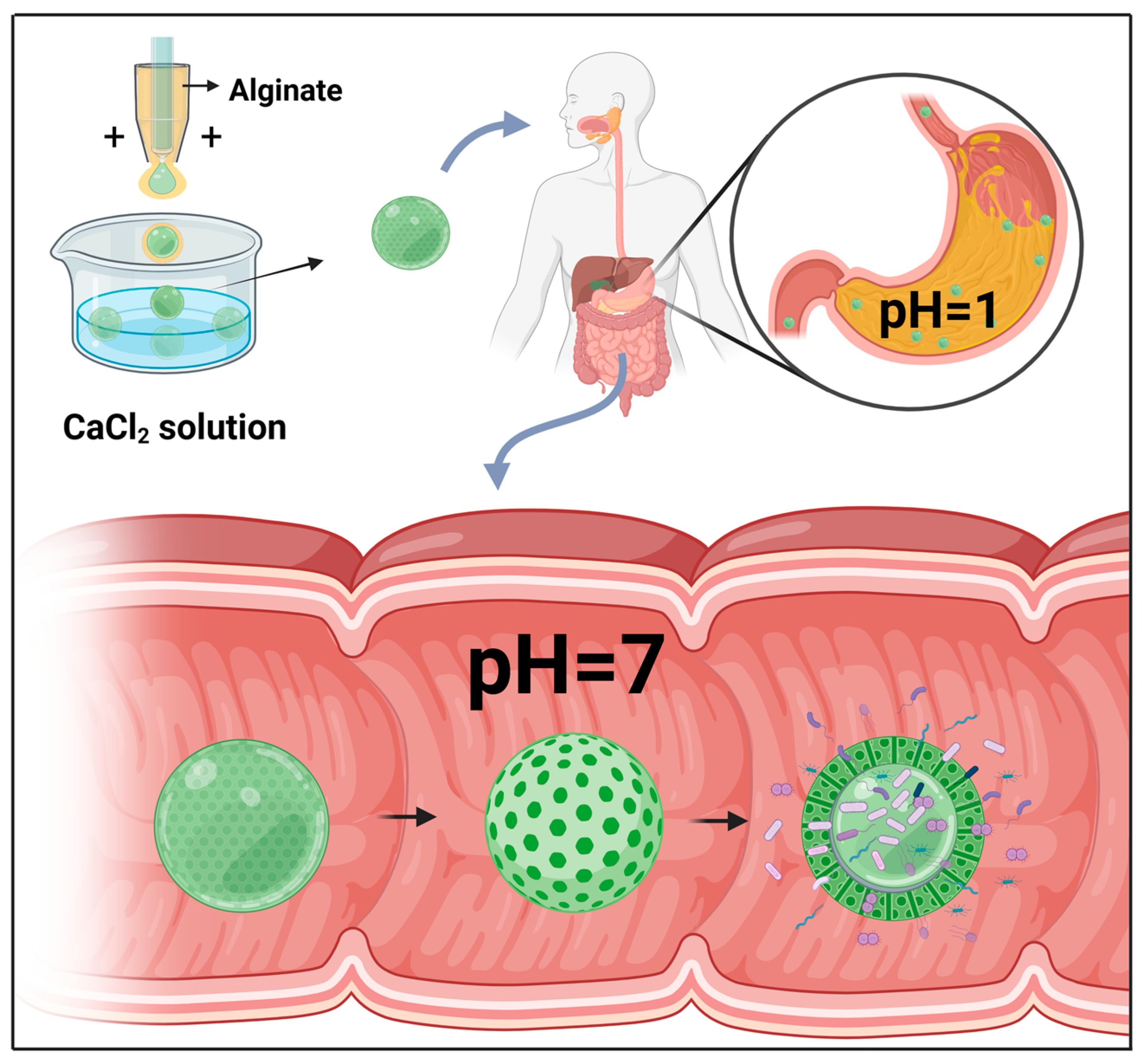 Microorganisms 11 01134 g003 Microorganisms 11 01134 g003
