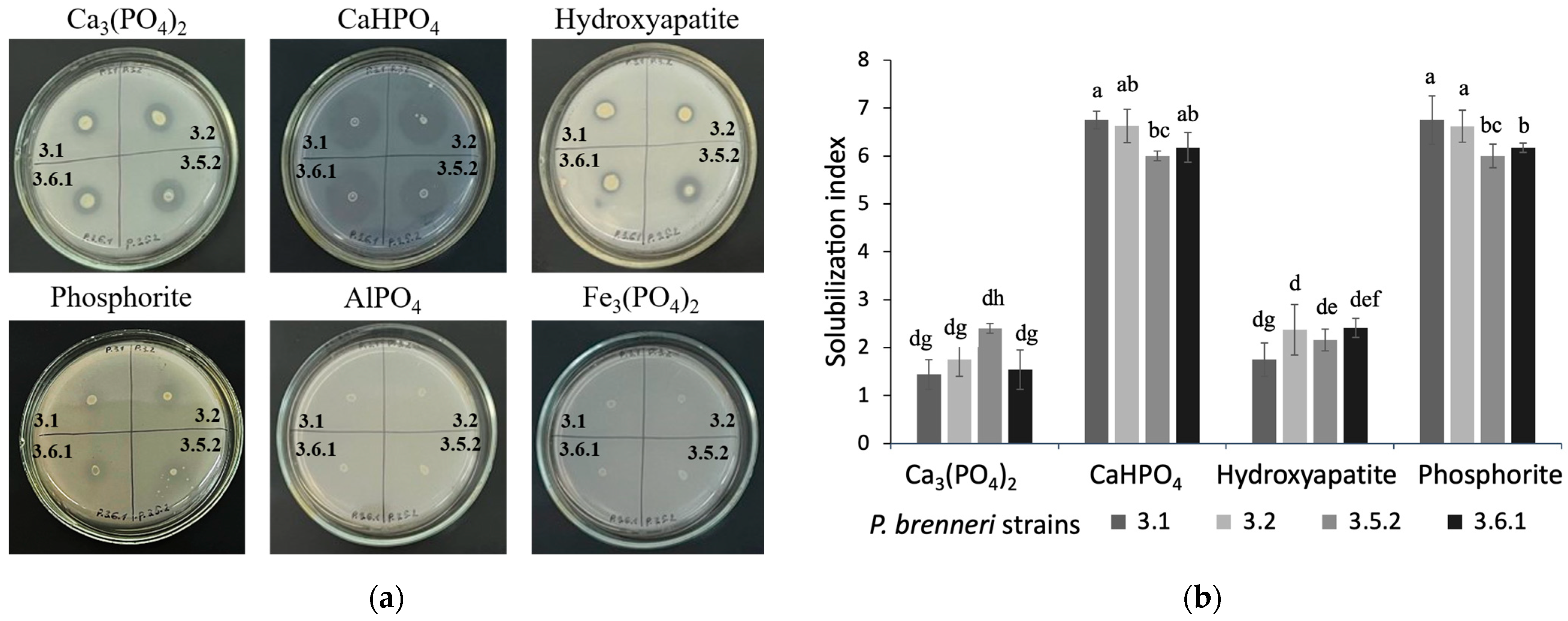 Microorganisms 11 01136 g001 Microorganisms 11 01136 g001