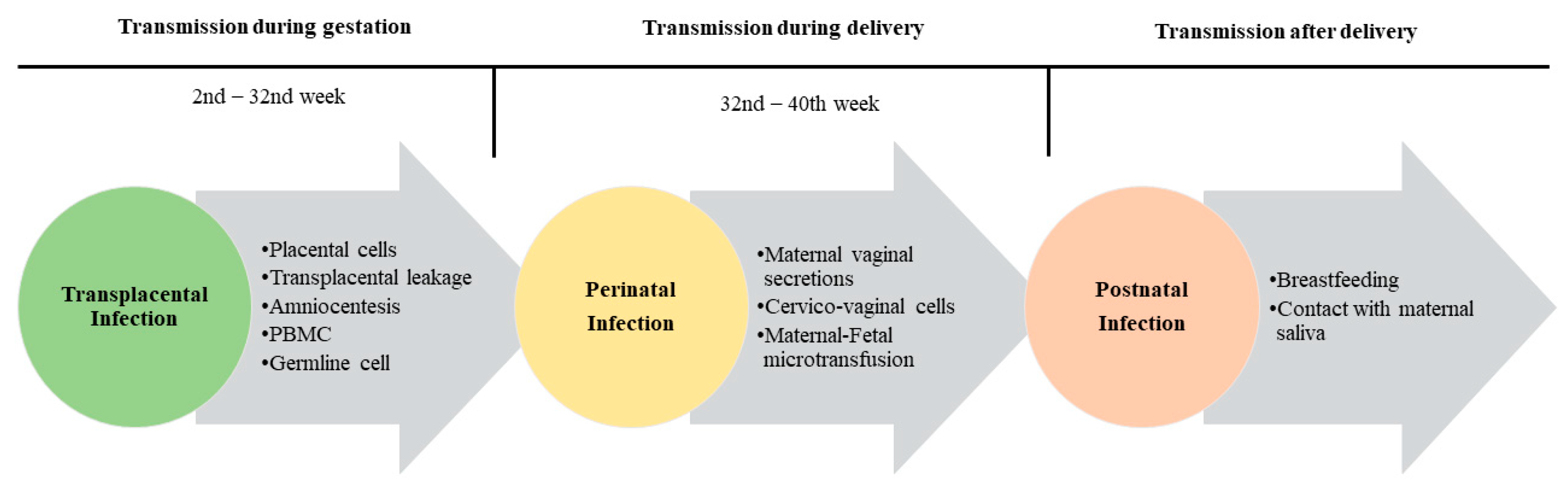Microorganisms 11 01140 g002 Microorganisms 11 01140 g002