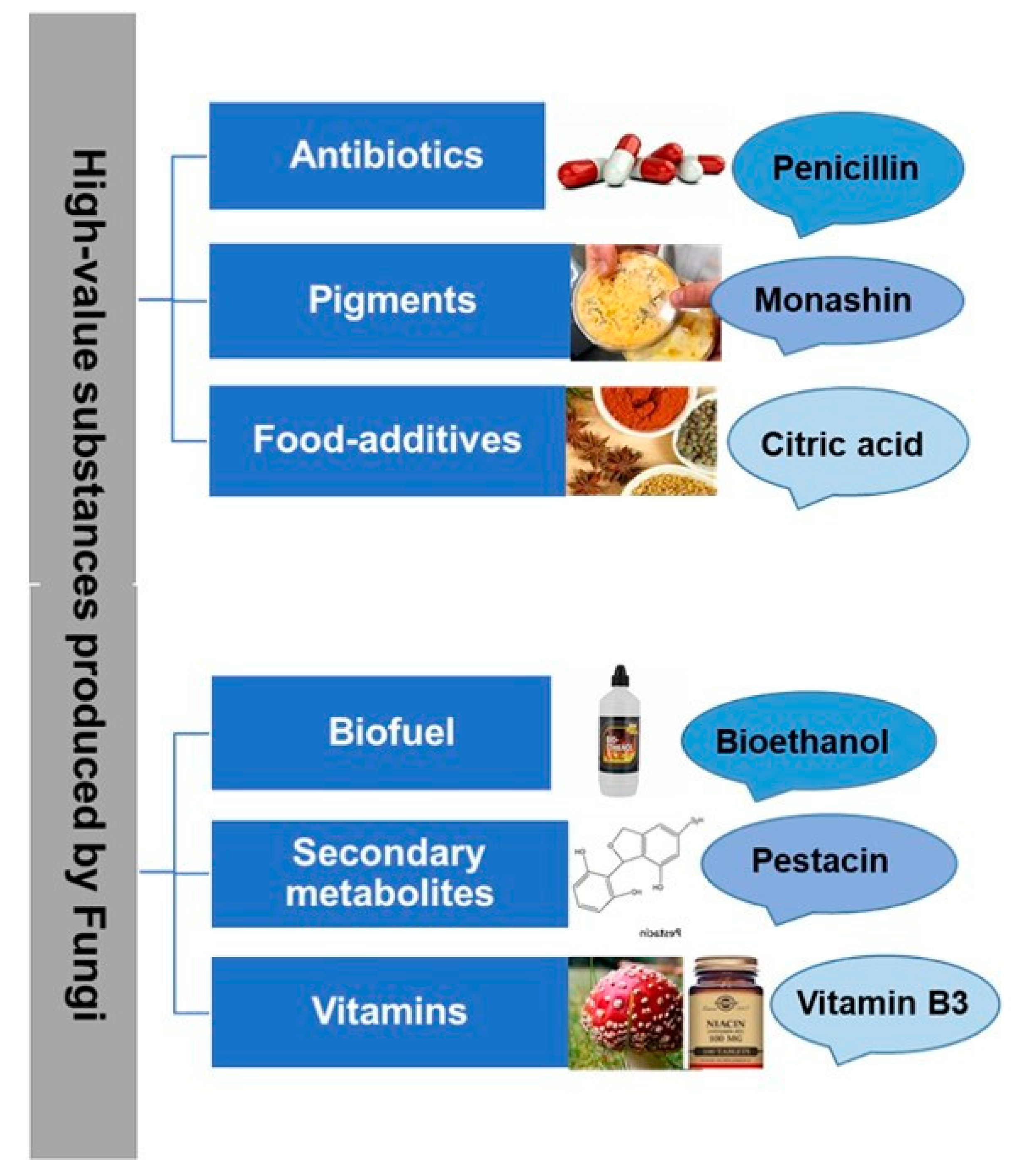 Microorganisms 11 01141 g001 Microorganisms 11 01141 g001