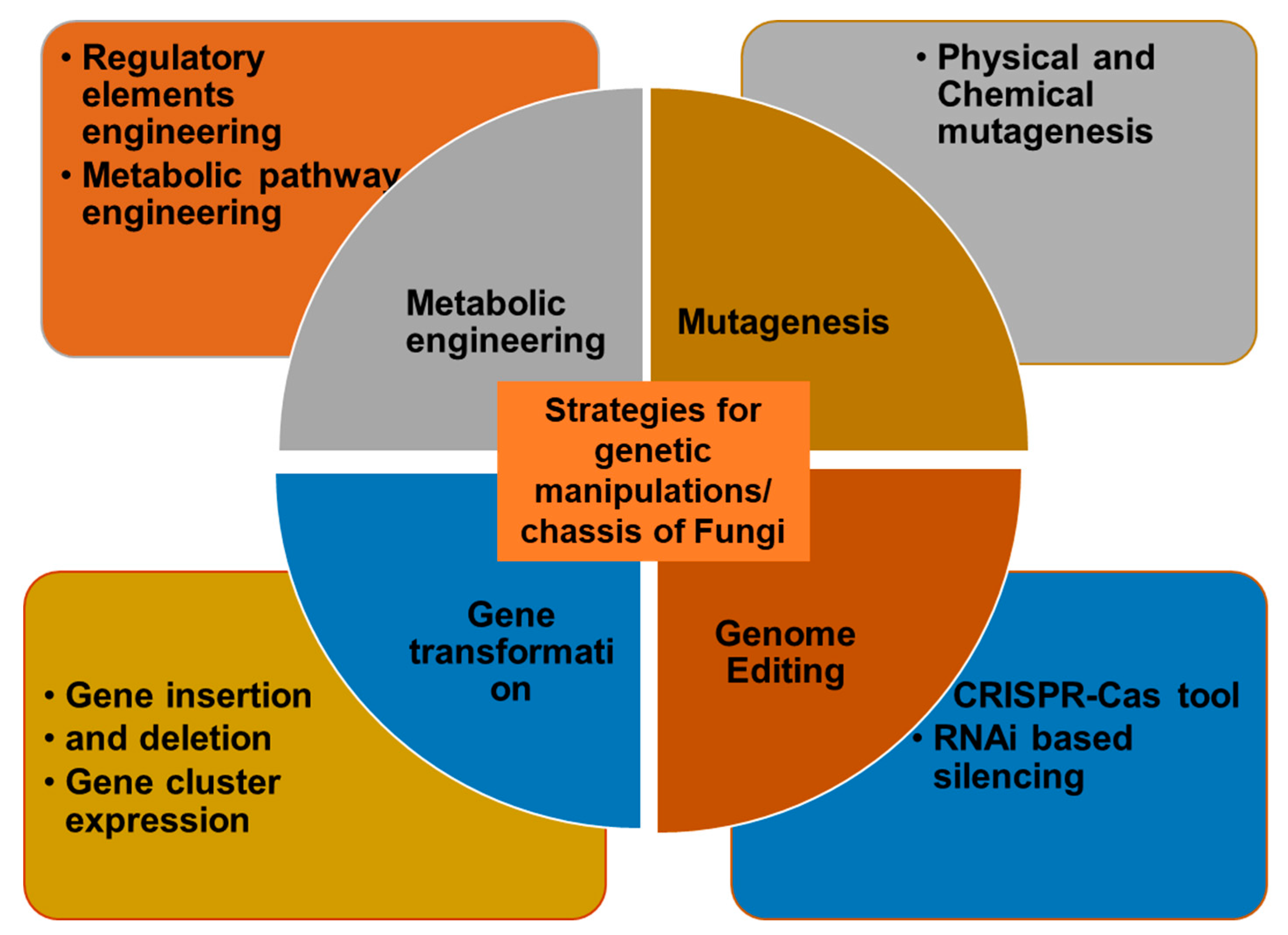 Microorganisms 11 01141 g002 Microorganisms 11 01141 g002