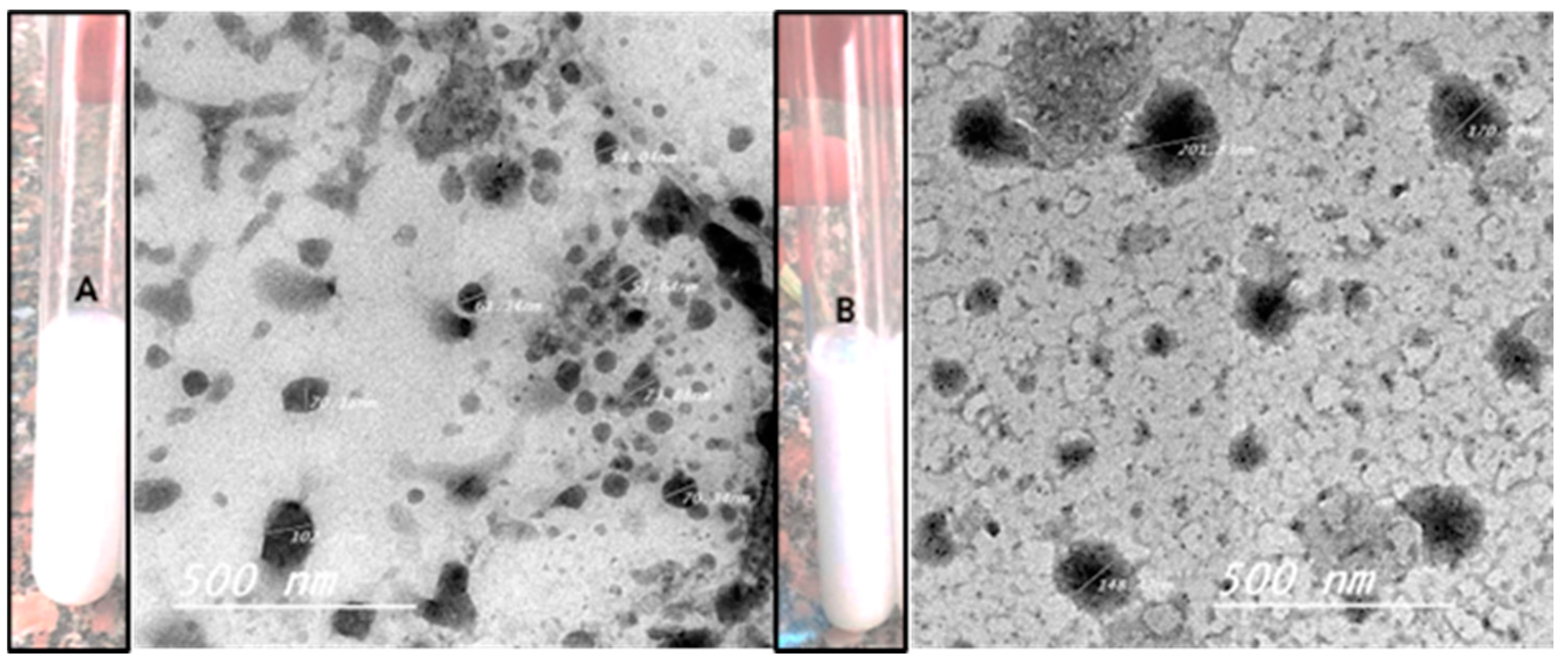 Microorganisms 11 01143 g001 Microorganisms 11 01143 g001