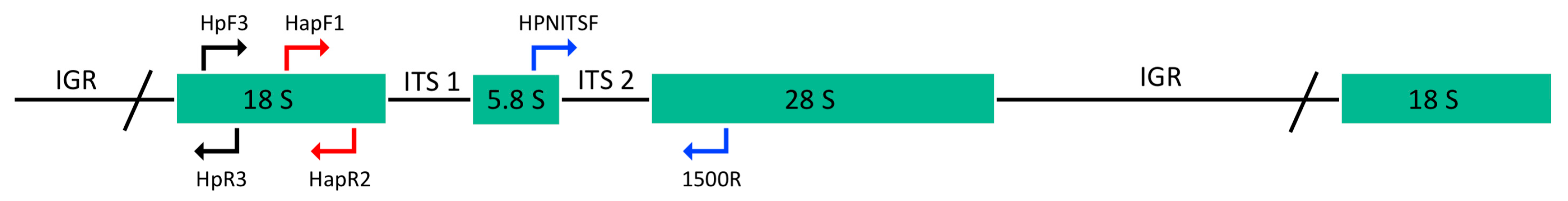 Microorganisms 11 01146 g002 Microorganisms 11 01146 g002
