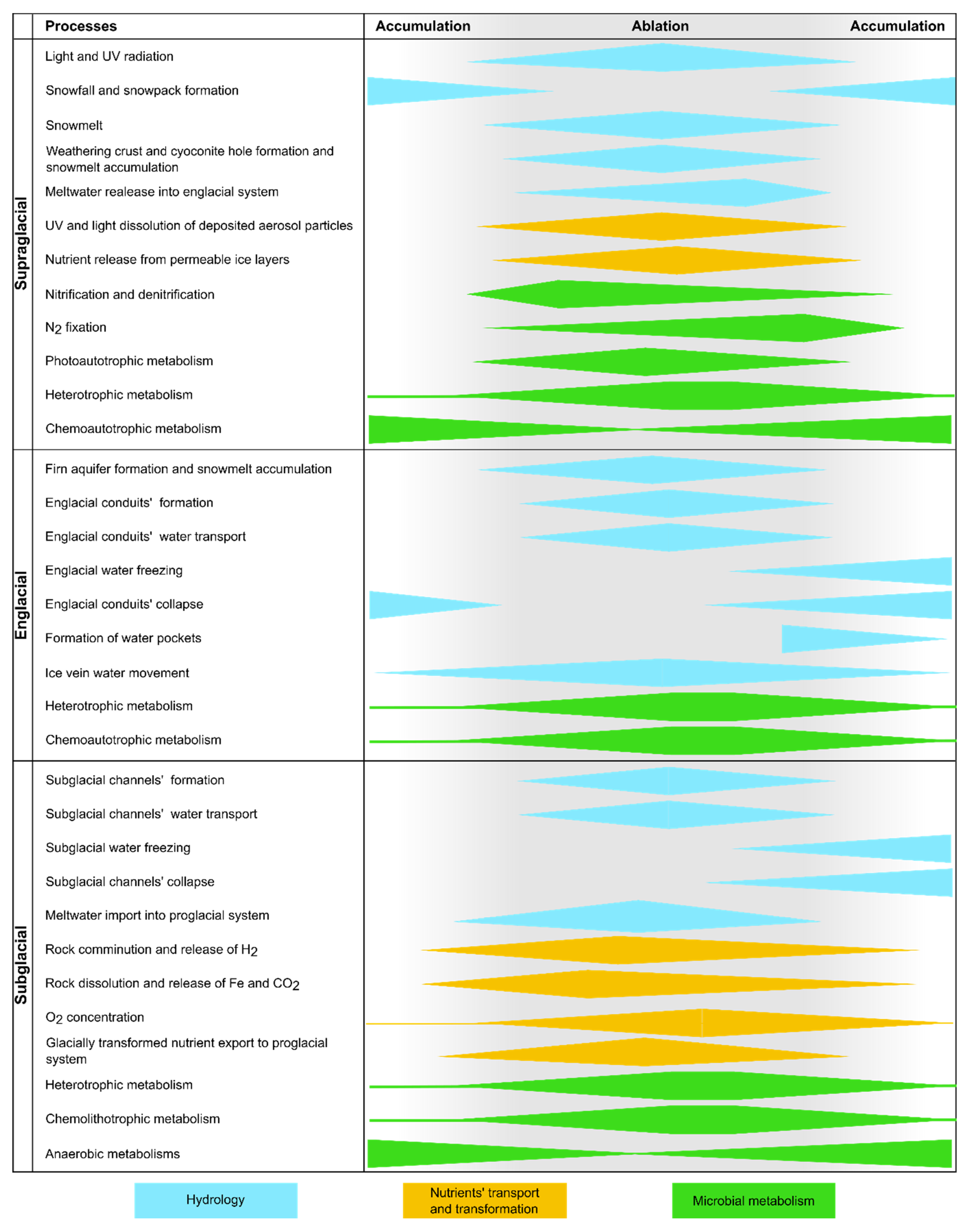 Microorganisms 11 01153 g001