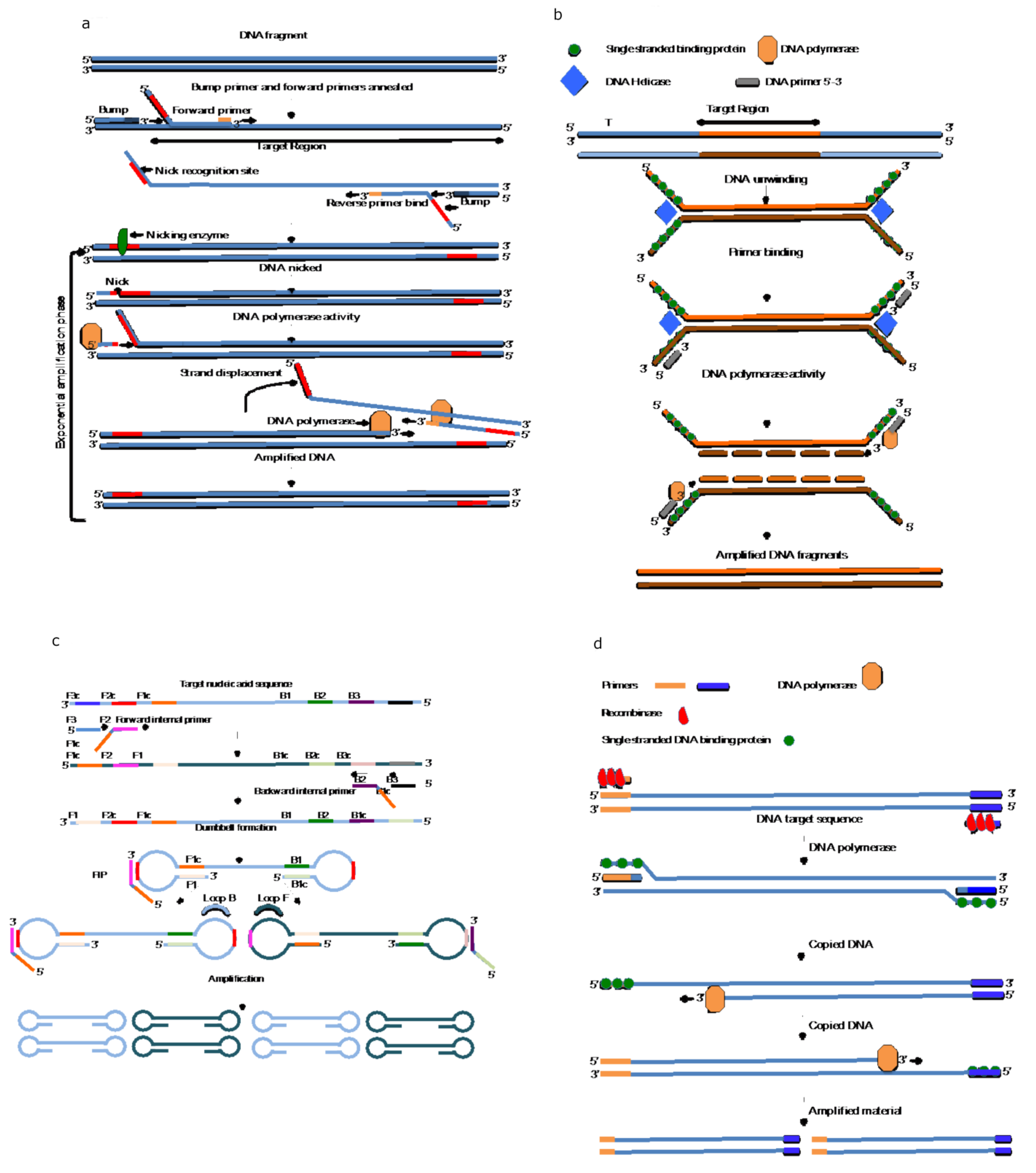 Microorganisms 11 01159 g002