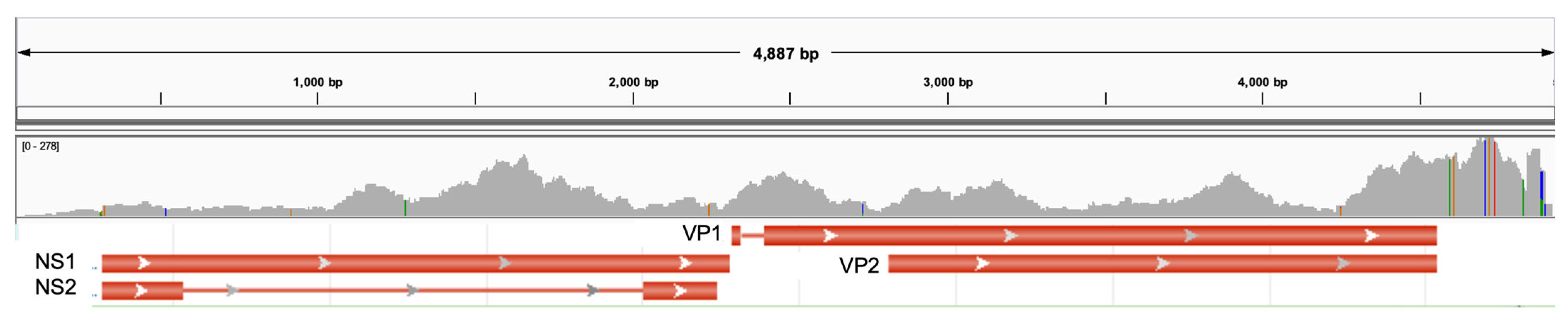 Microorganisms 11 01163 g002 Microorganisms 11 01163 g002
