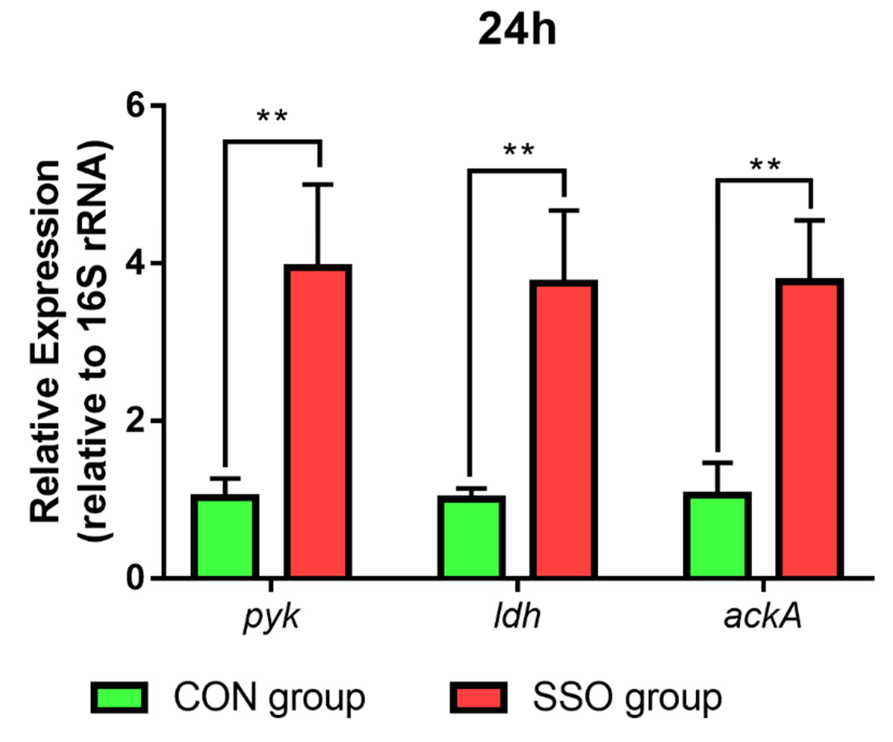 Microorganisms 11 01164 g008 Microorganisms 11 01164 g008