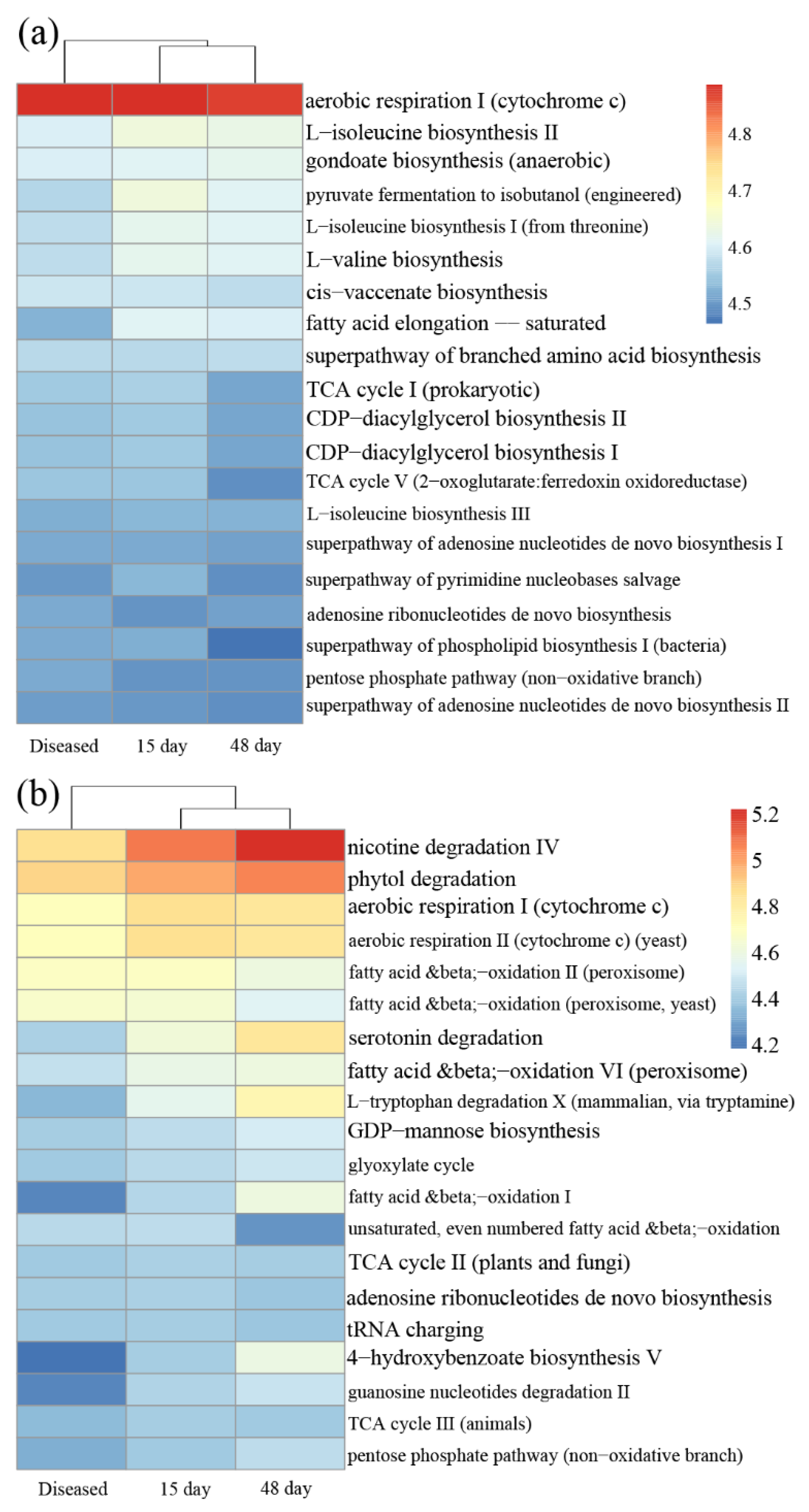 Microorganisms 11 01167 g005 Microorganisms 11 01167 g005