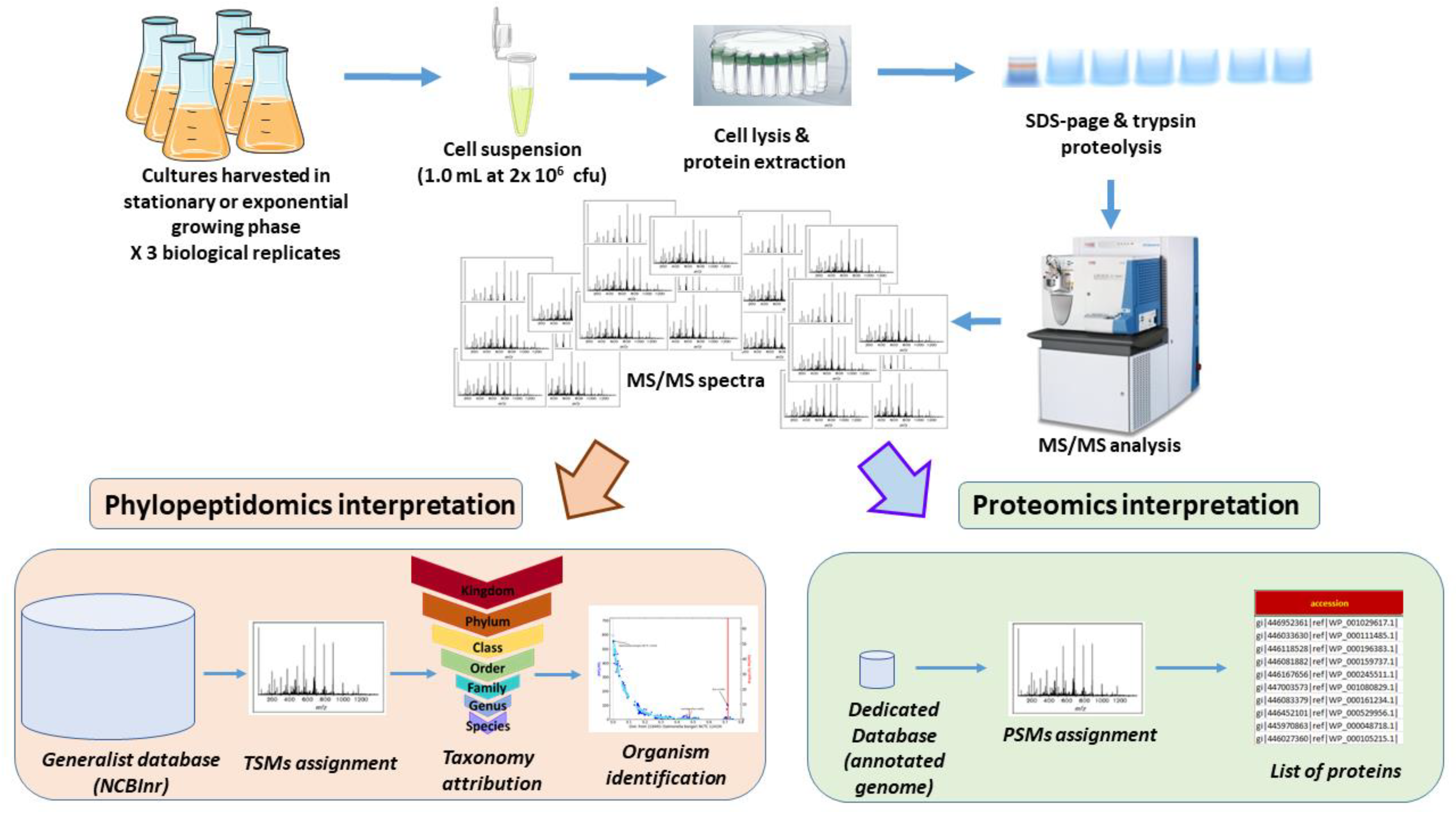 Microorganisms 11 01170 g001 Microorganisms 11 01170 g001