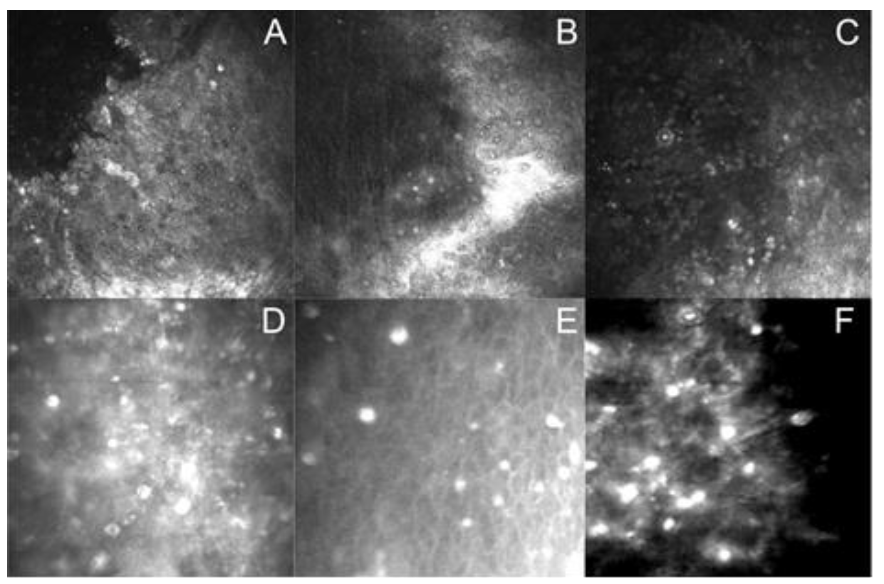 Microorganisms 11 01174 g001 Microorganisms 11 01174 g001
