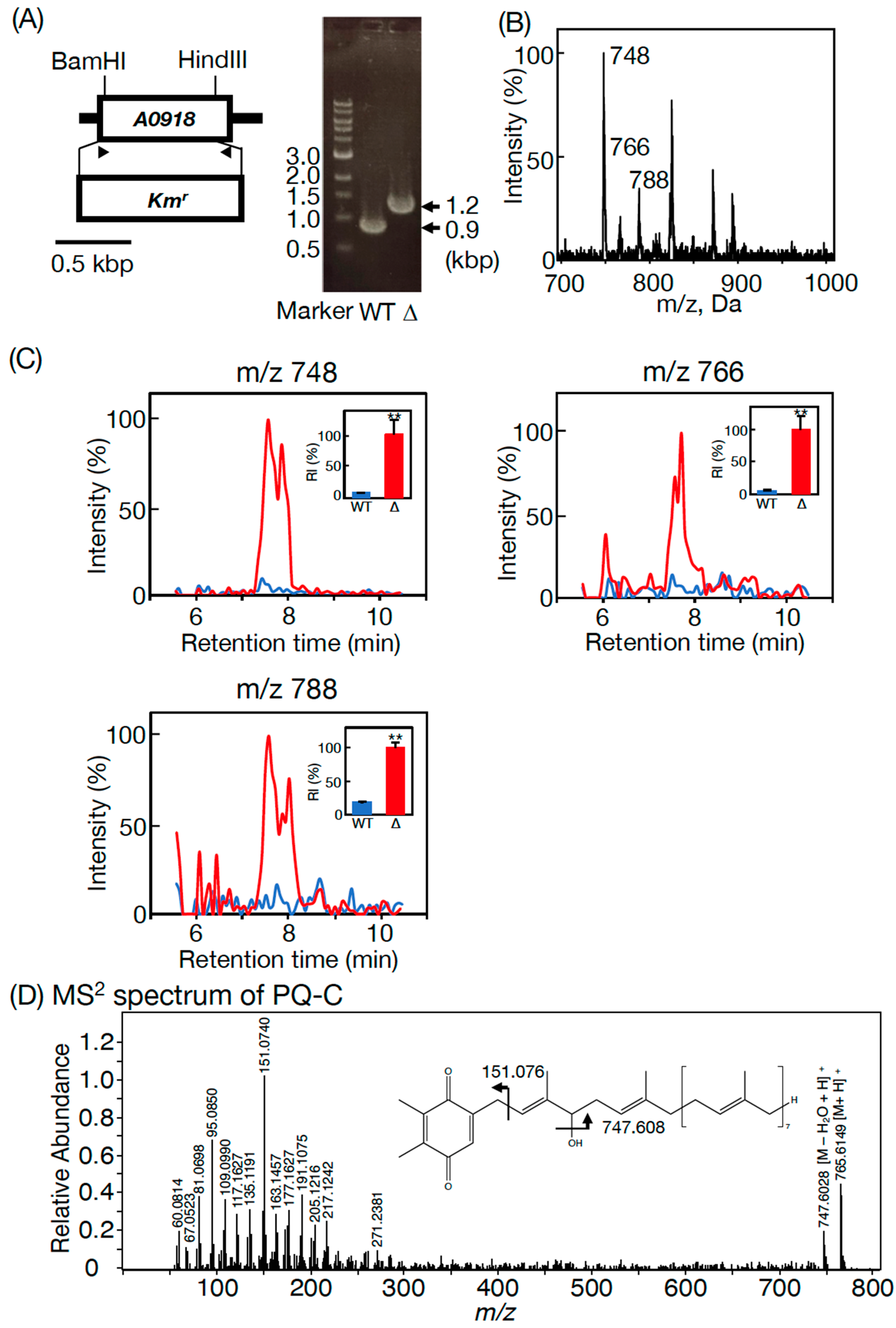 Microorganisms 11 01177 g004
