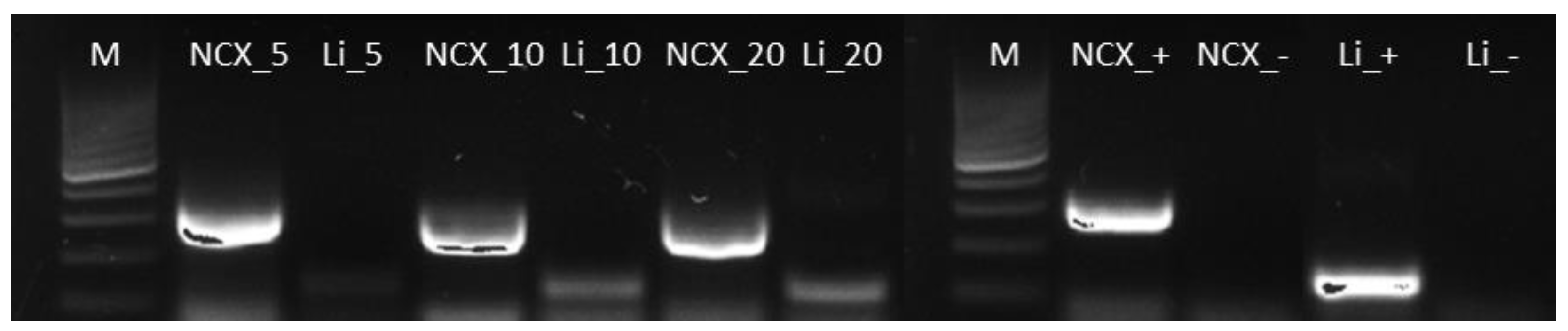 Microorganisms 11 01179 g002 Microorganisms 11 01179 g002